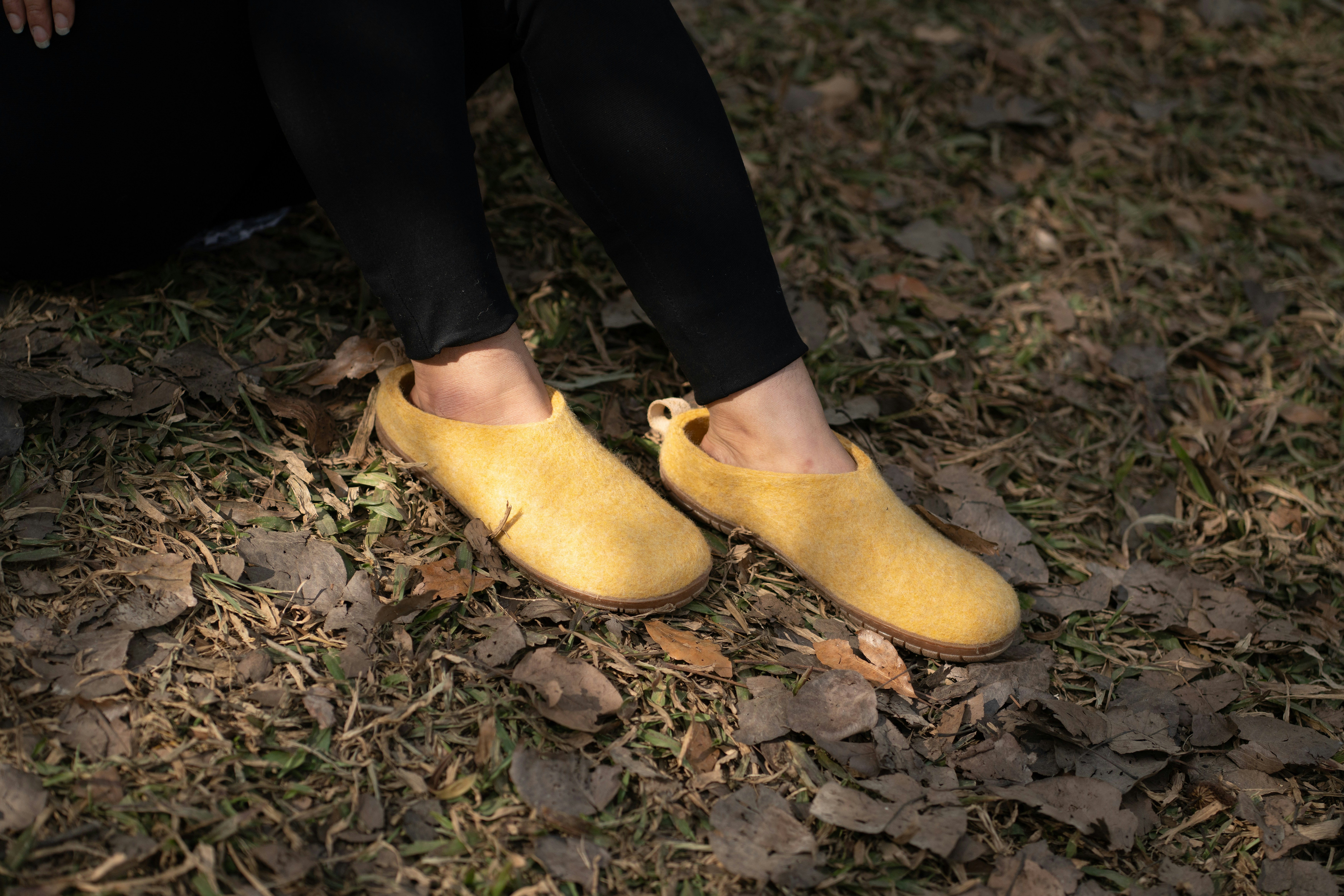 Photo by woollyes244