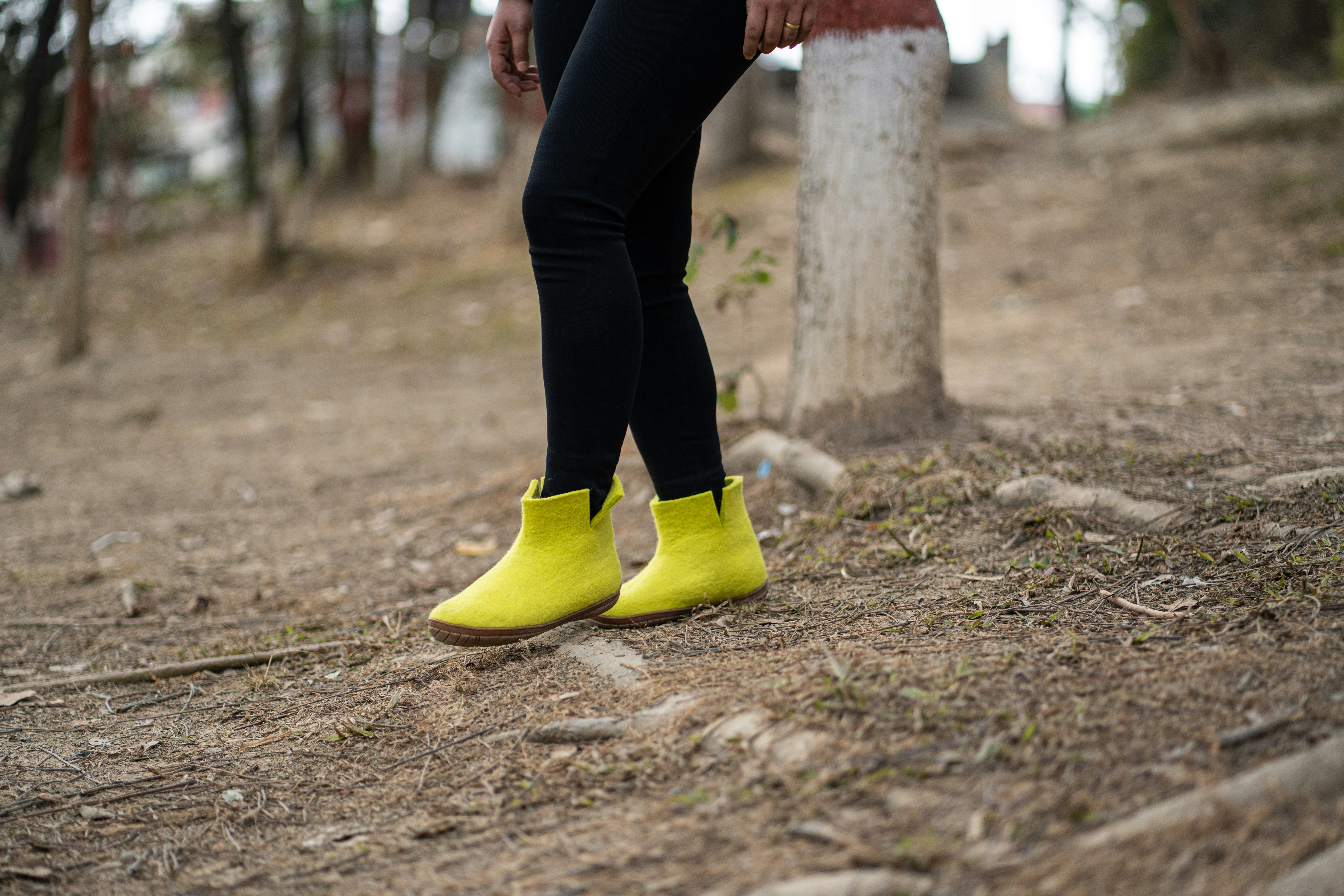 Photo by woollyes244