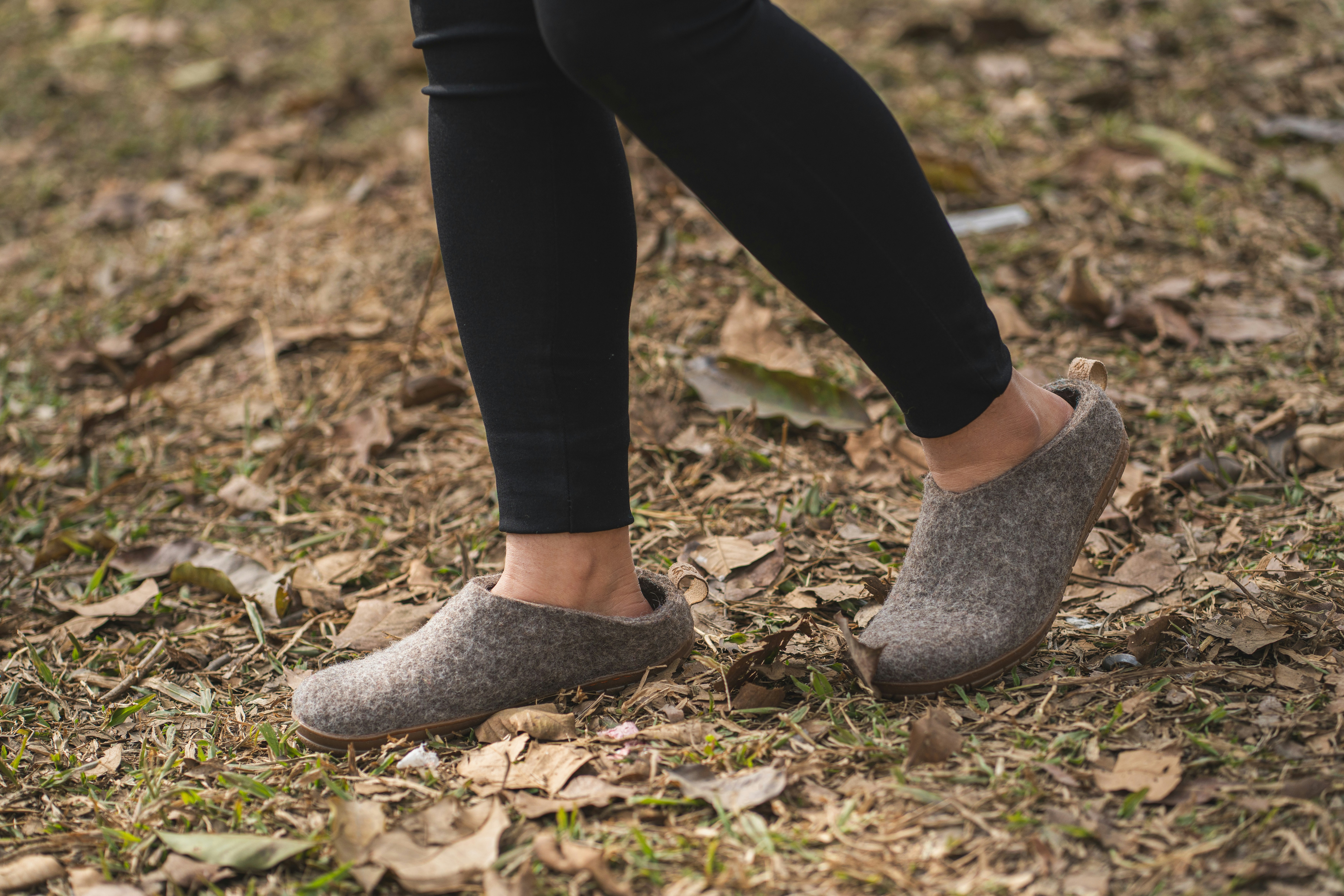 Photo by woollyes244