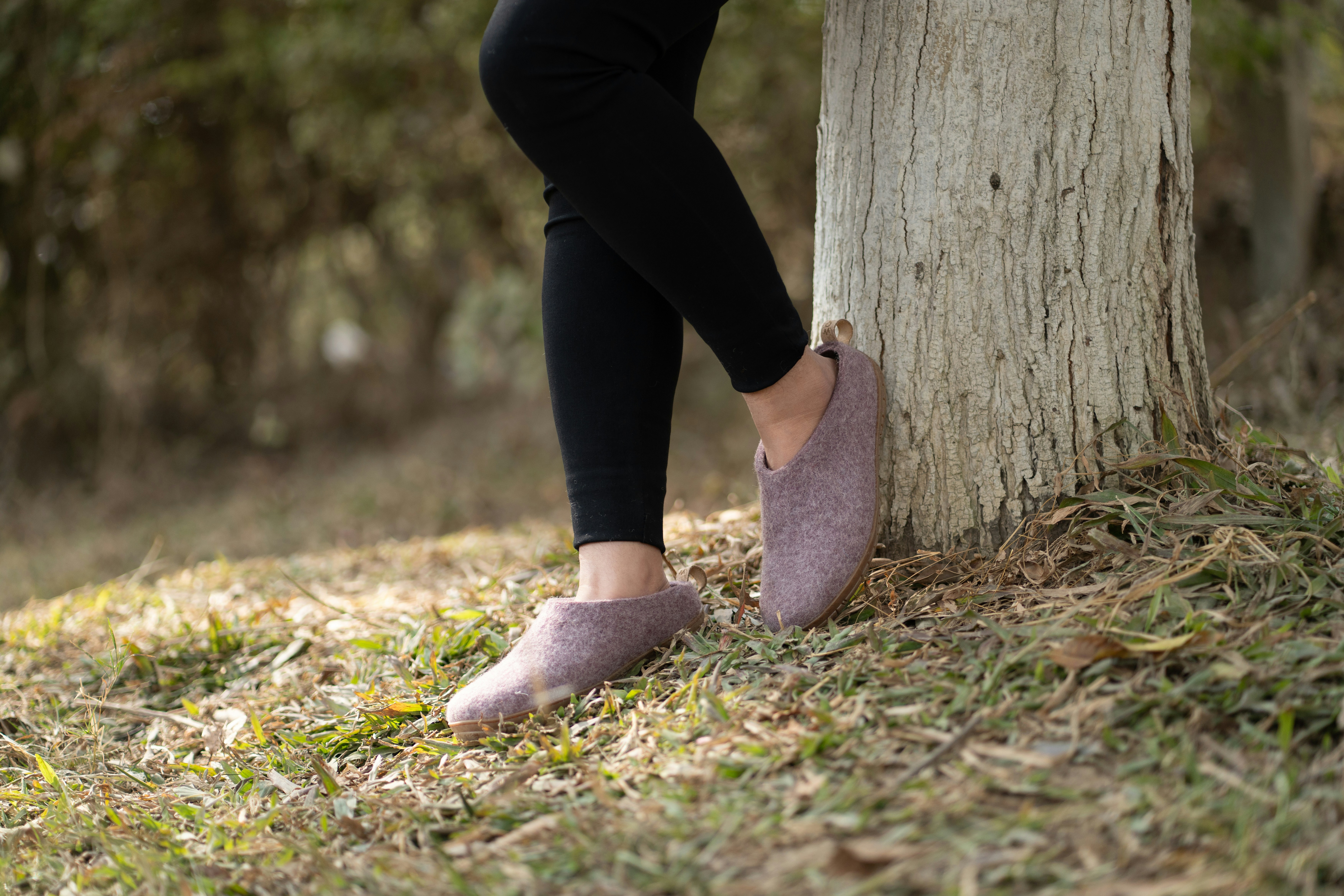 Photo by woollyes244