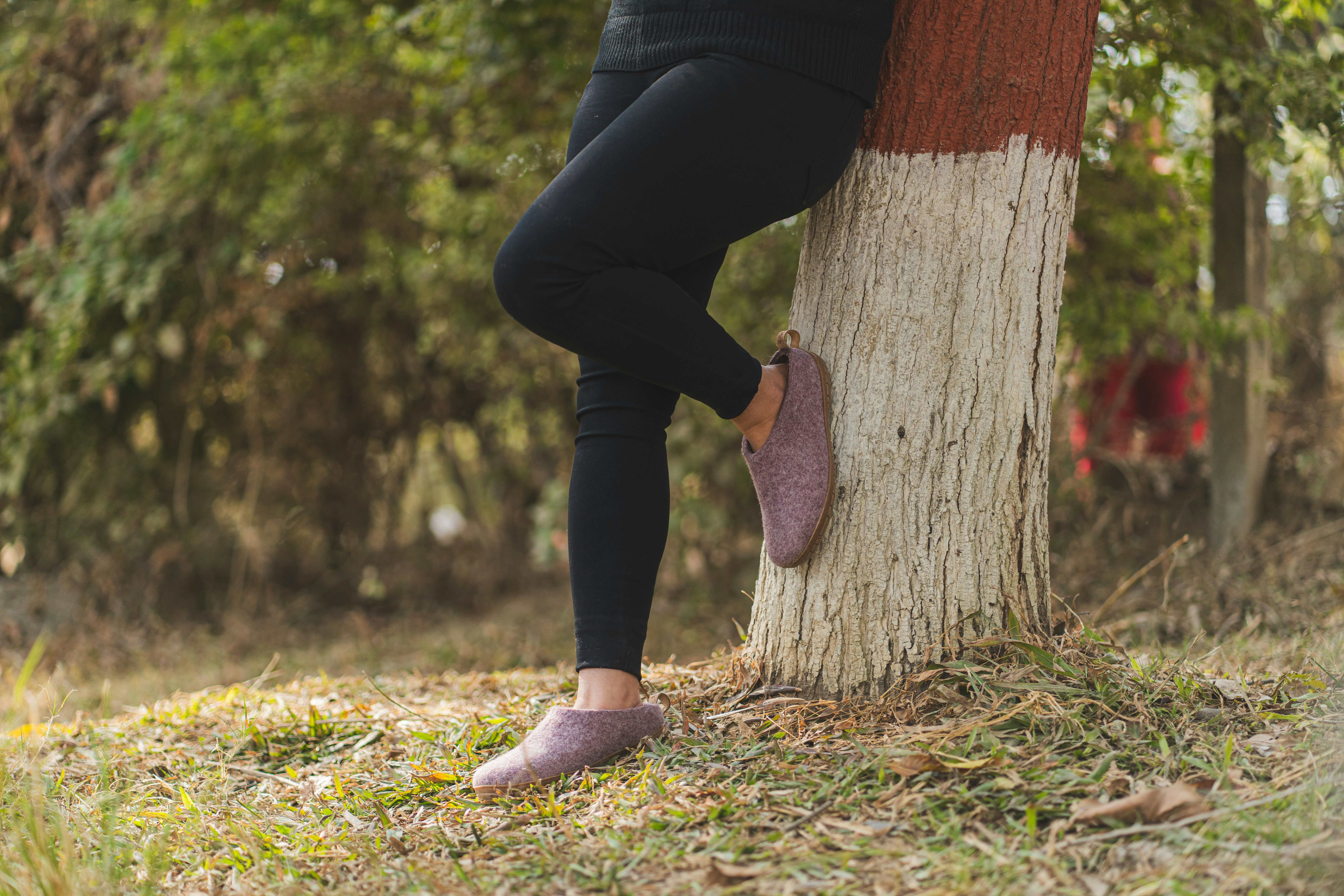 Photo by woollyes244