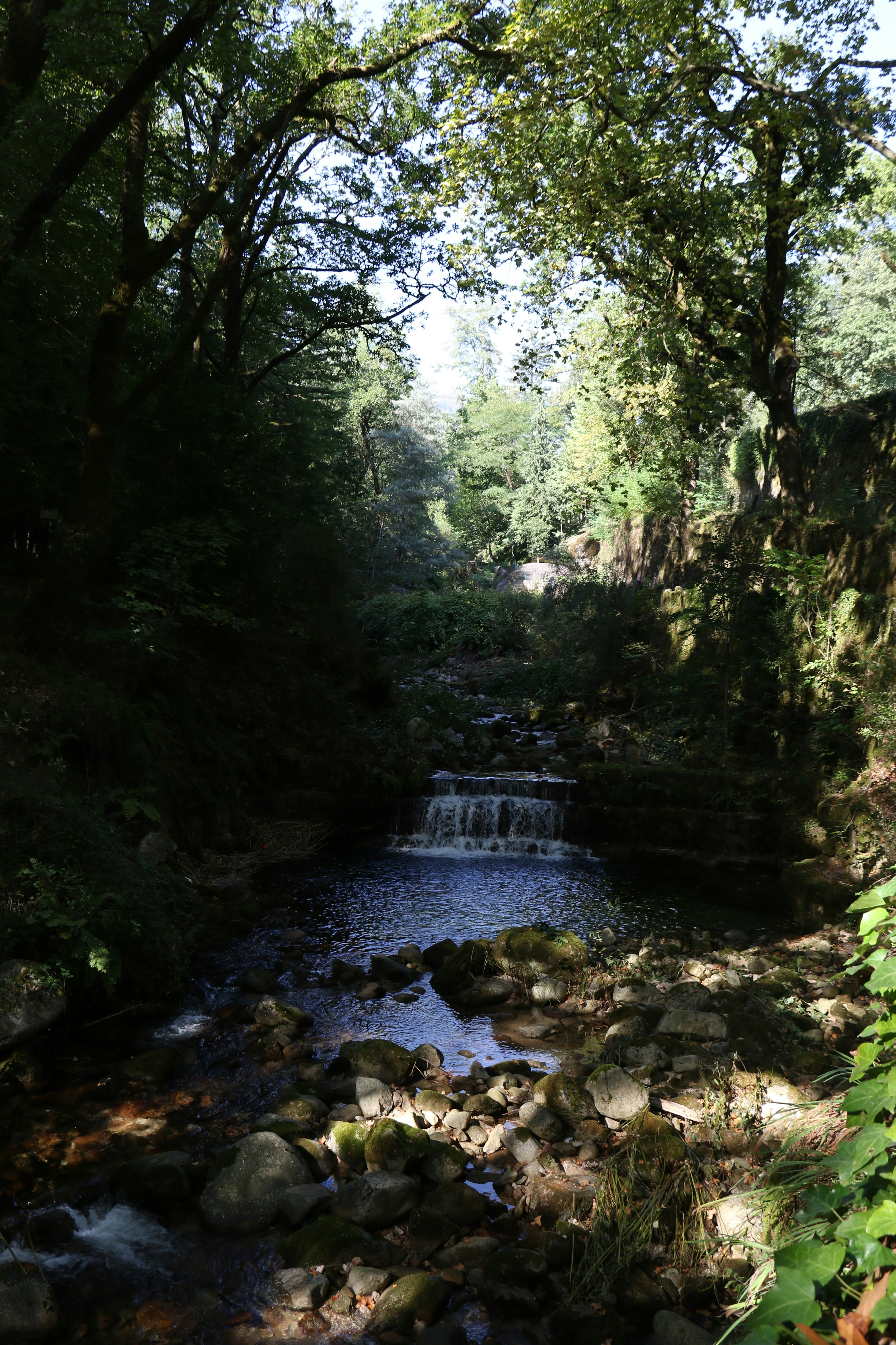 Photo by andreiacunha