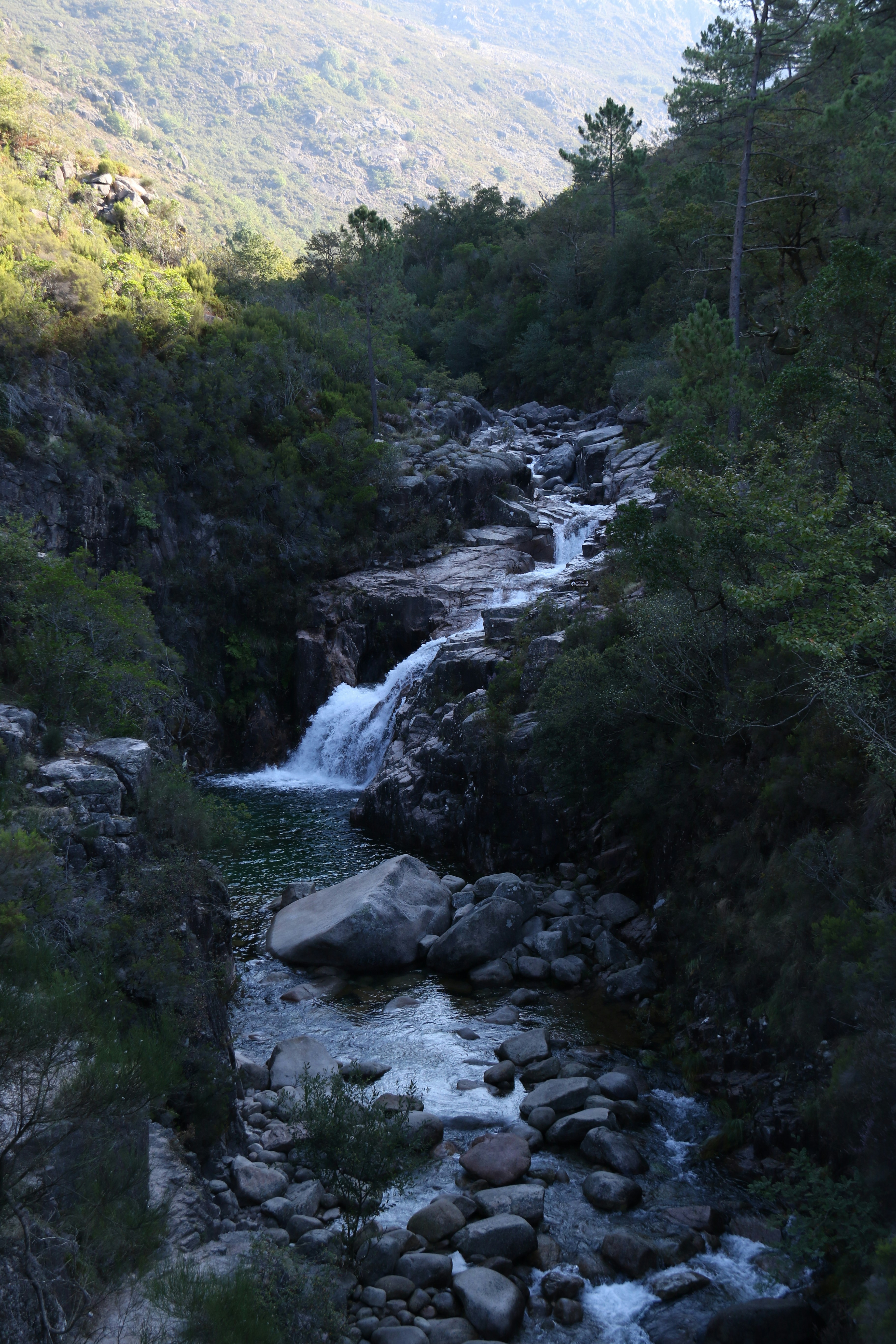 Photo by andreiacunha