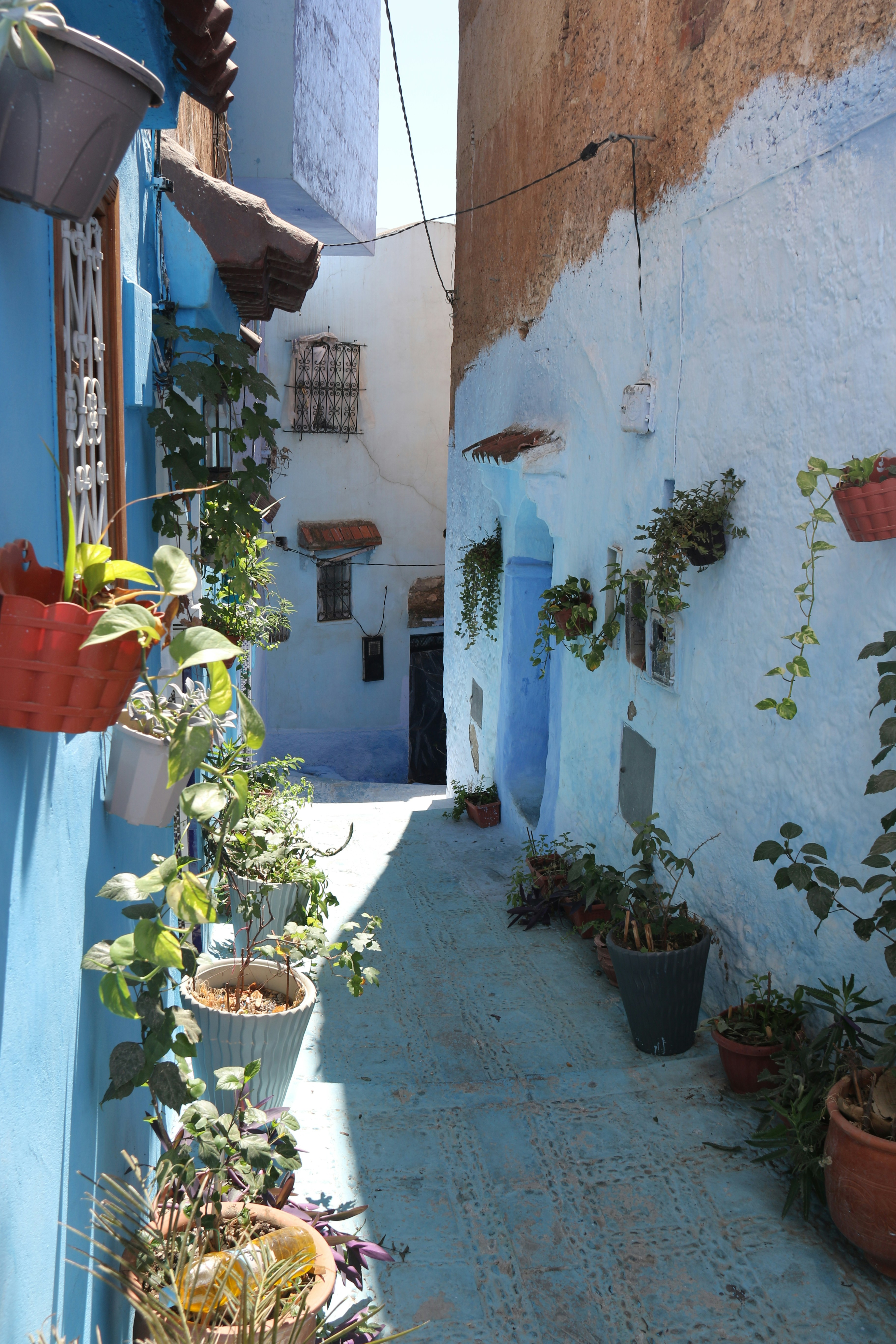 Photo by andreiacunha