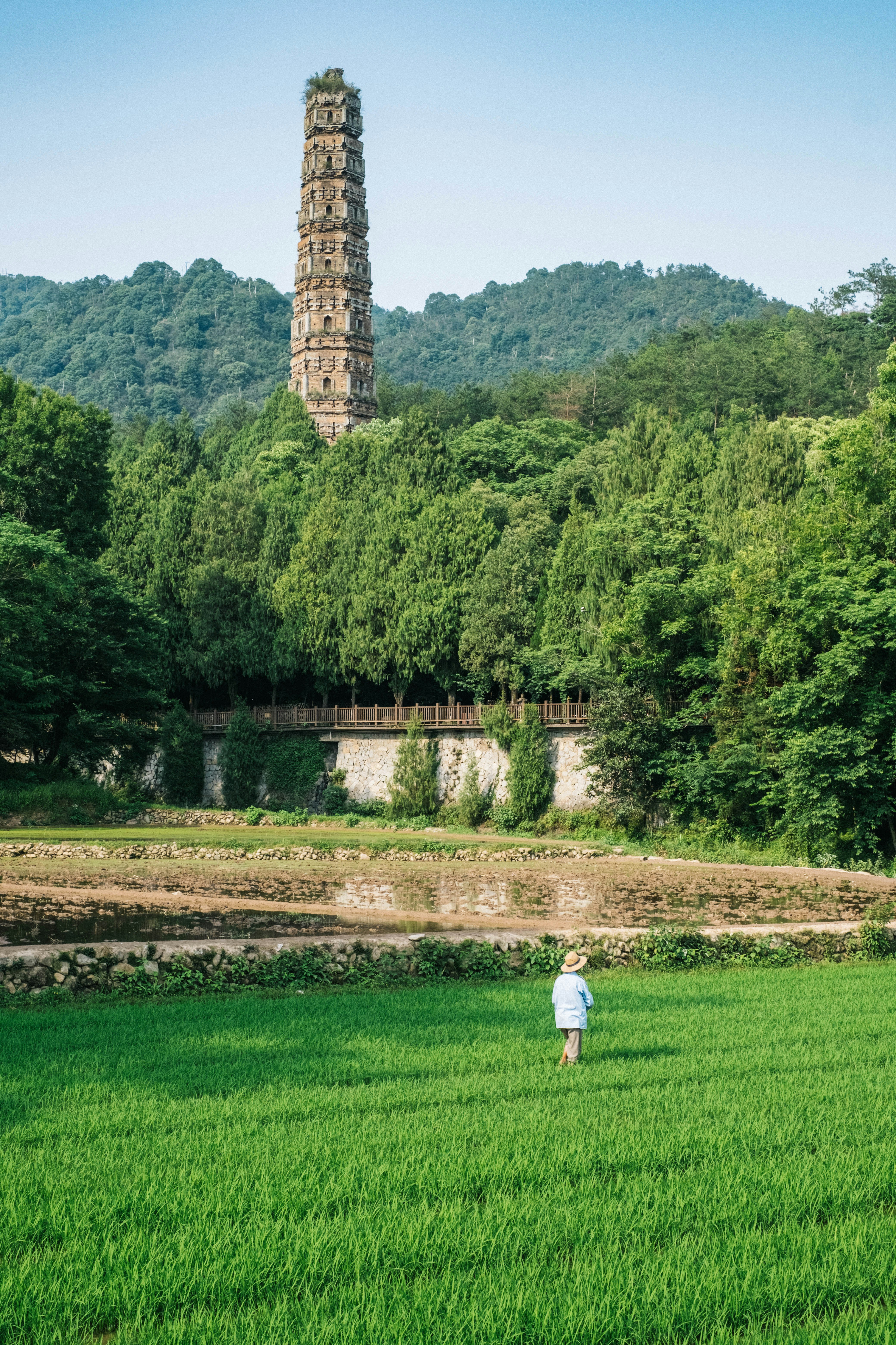 A woman walks towards a tall ancient pagoda.