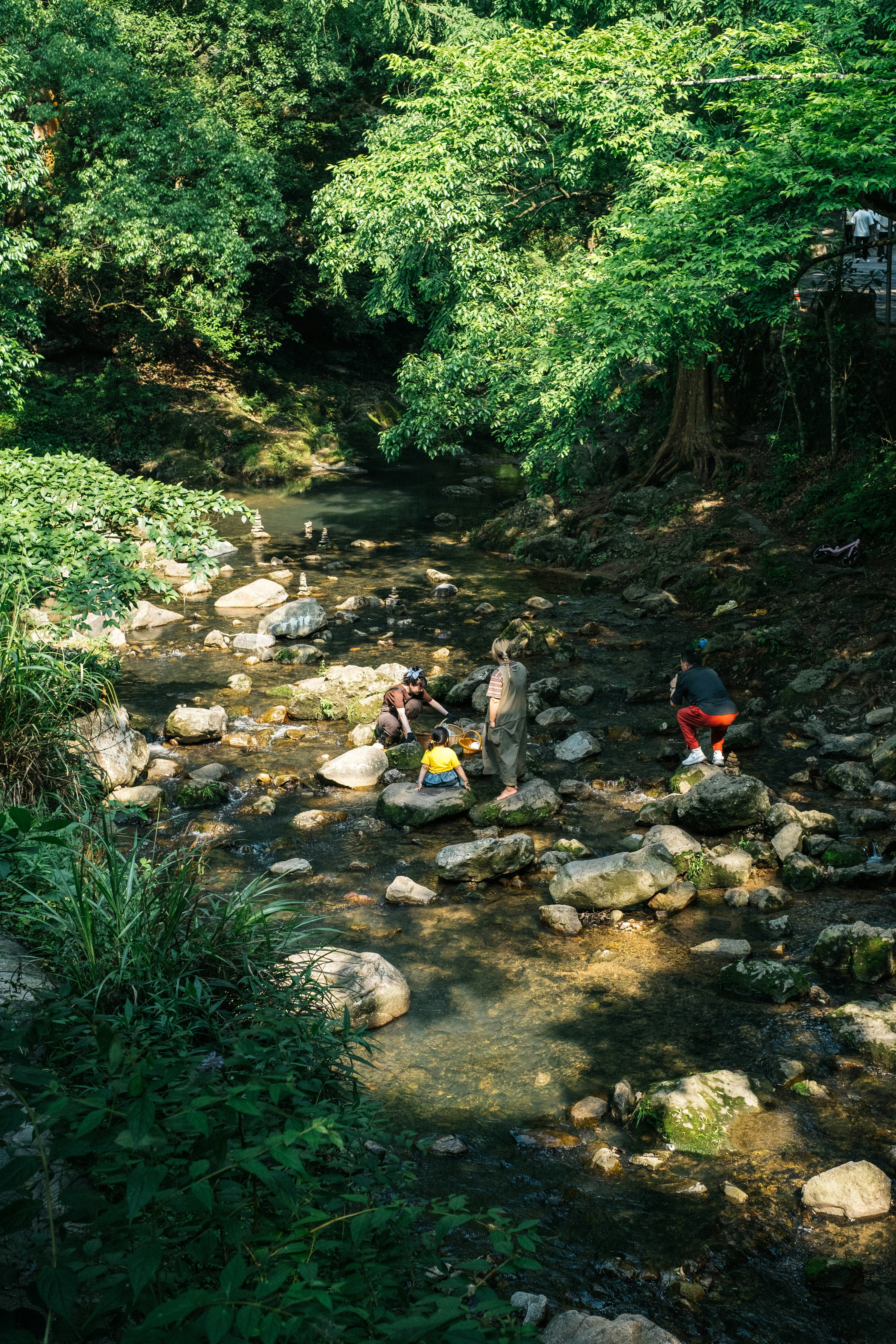 People explore a shallow river with rocks.
