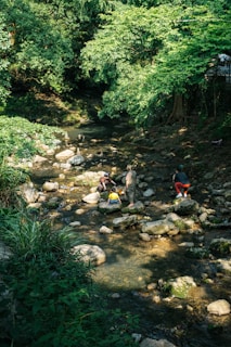 People explore a shallow river with rocks.