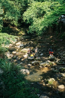 People explore a shallow river with rocks.