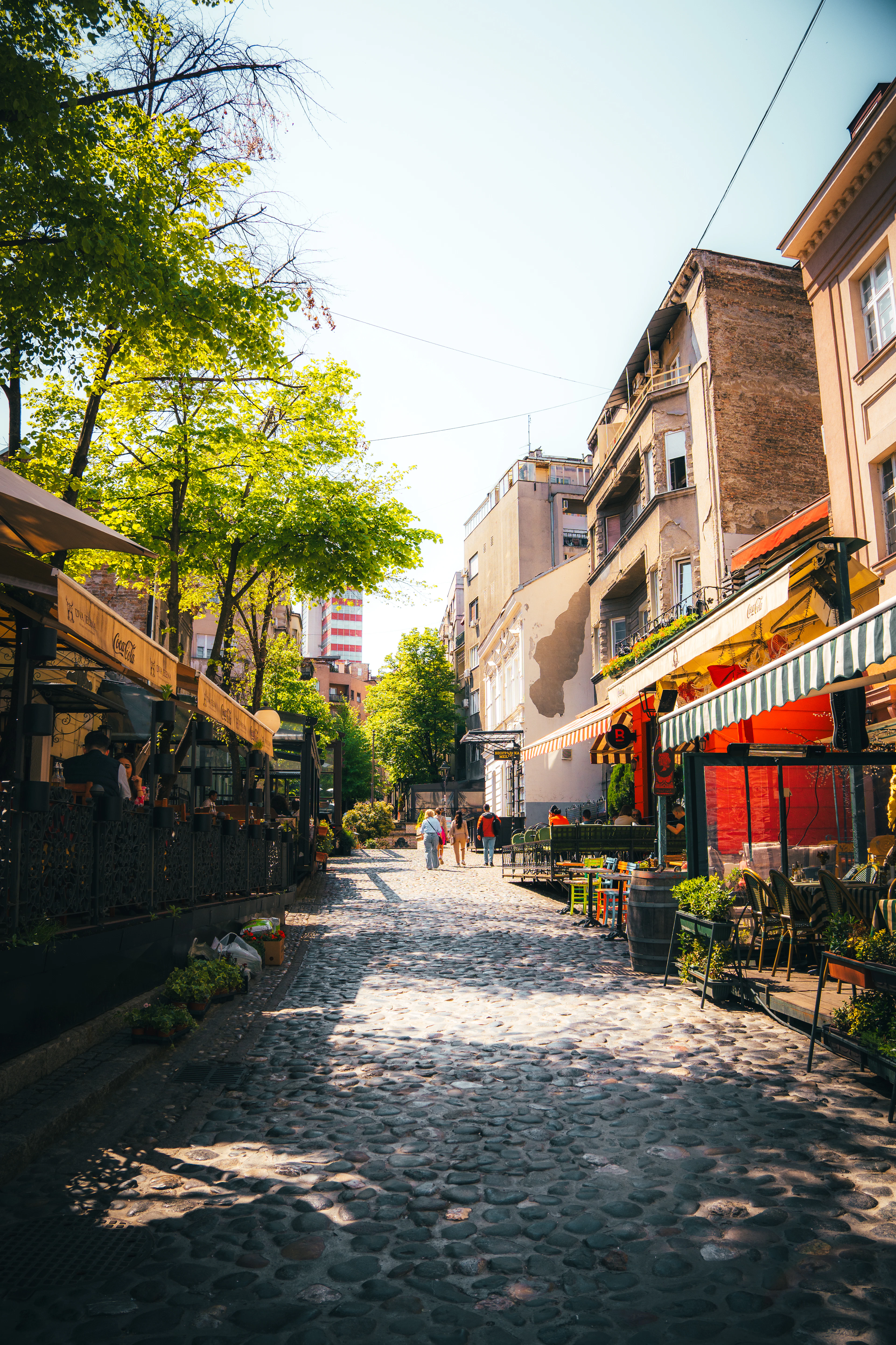 A cobbled Belgrade street lined on both sides with kafana terraces under striped awnings, wine barrels and café chairs set out on the stones beneath young lime trees in bright afternoon sun.