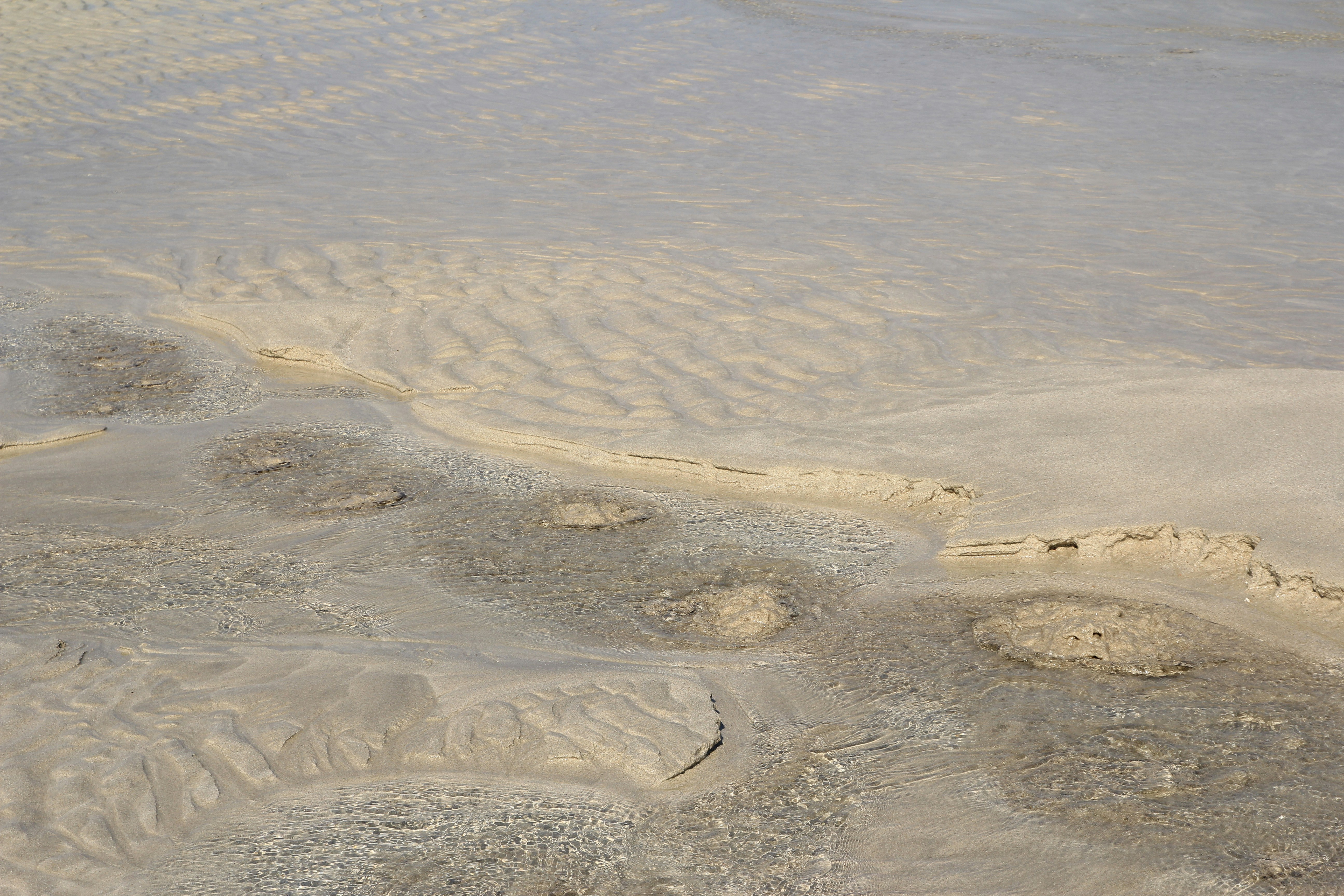 Photo by chocolate_milk_denmark