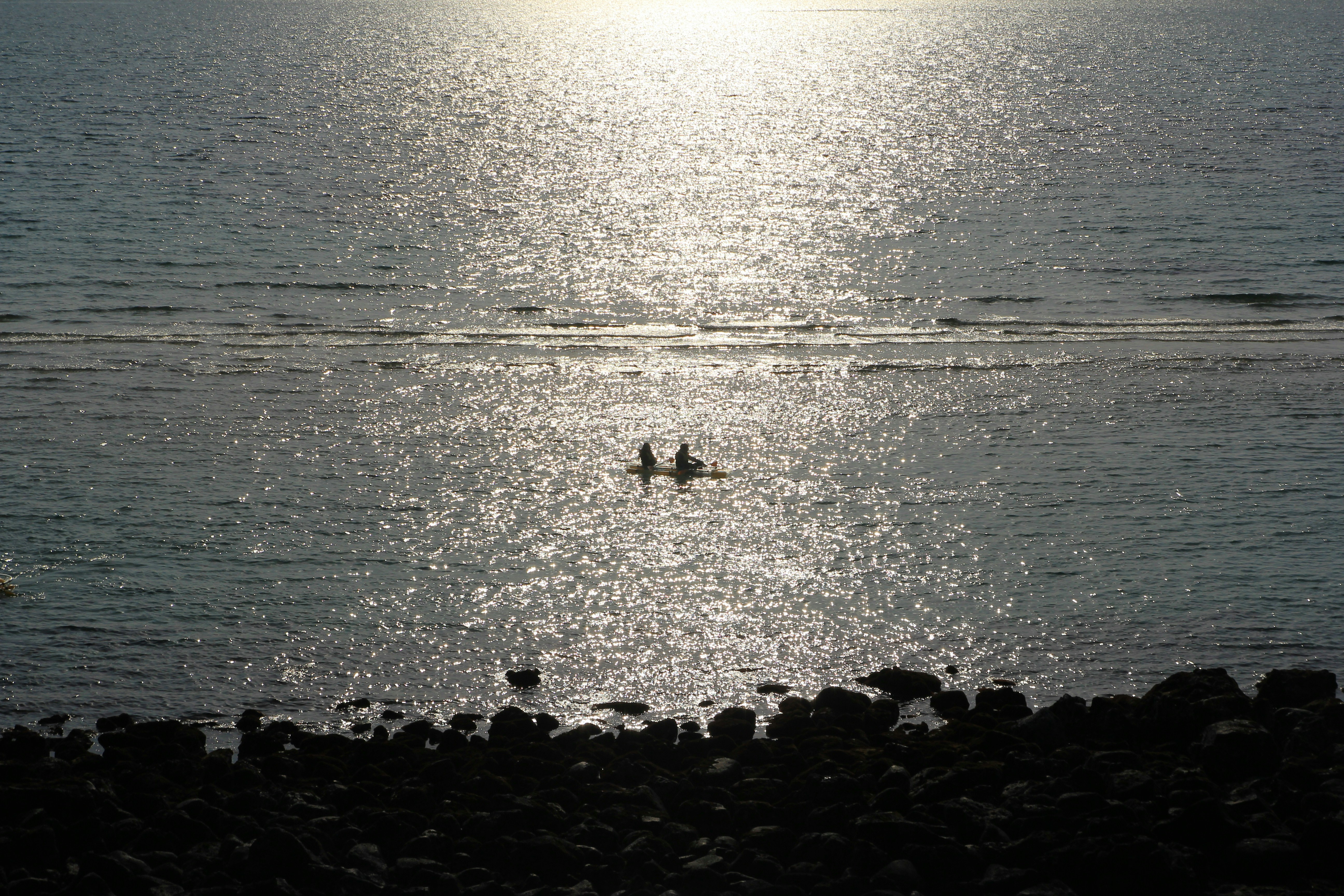 Photo by chocolate_milk_denmark