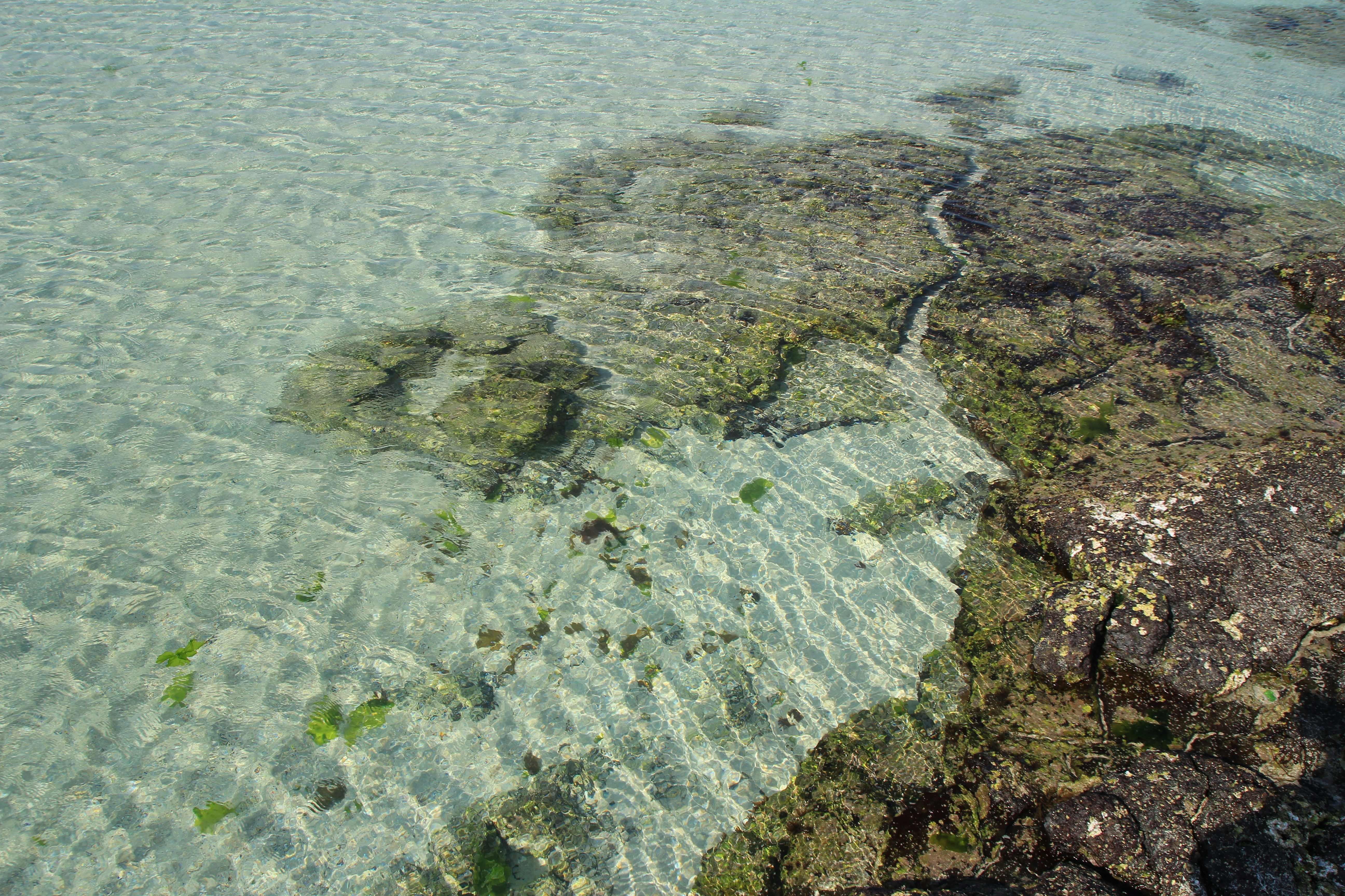 Photo by chocolate_milk_denmark