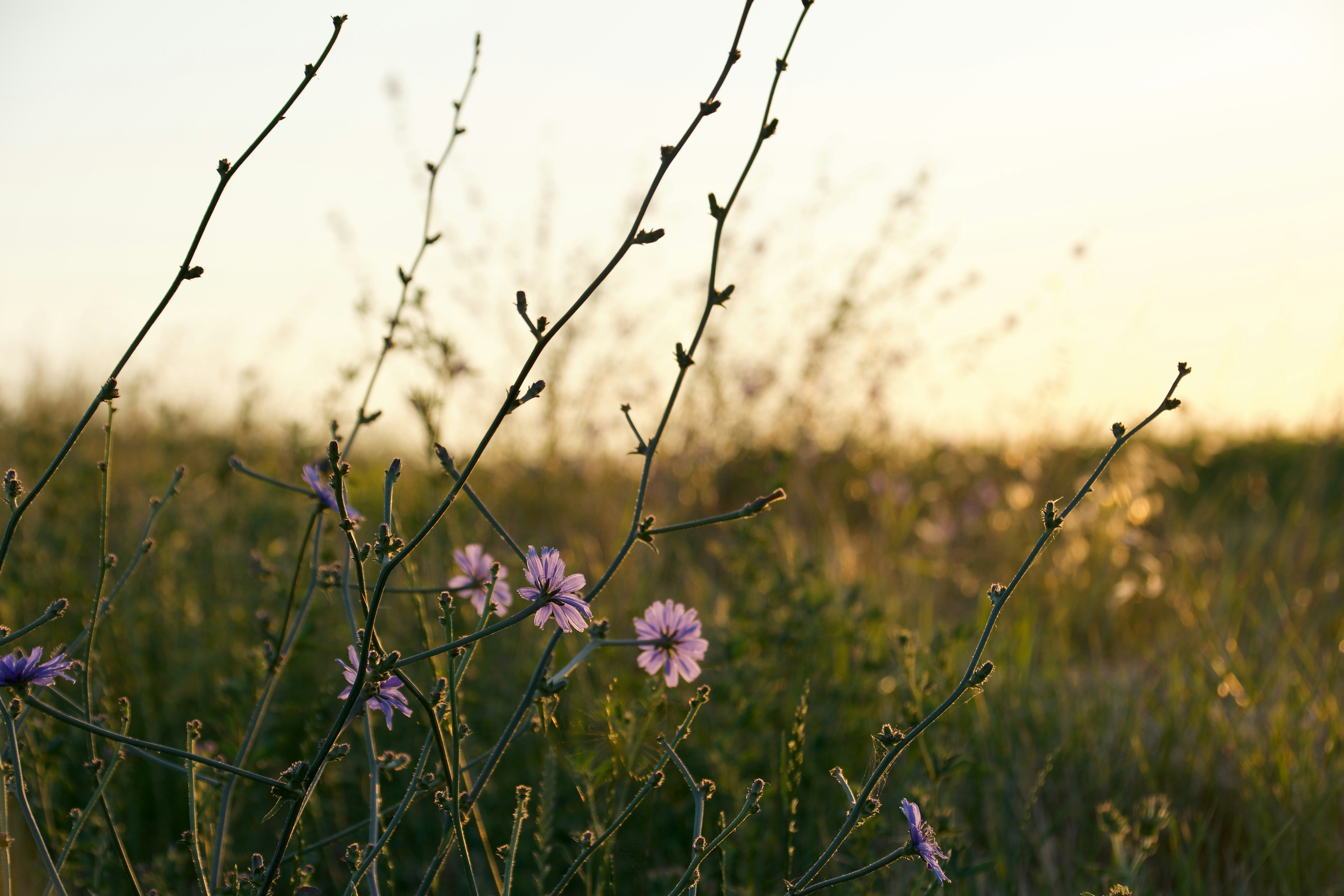 Photo by mariobeducci