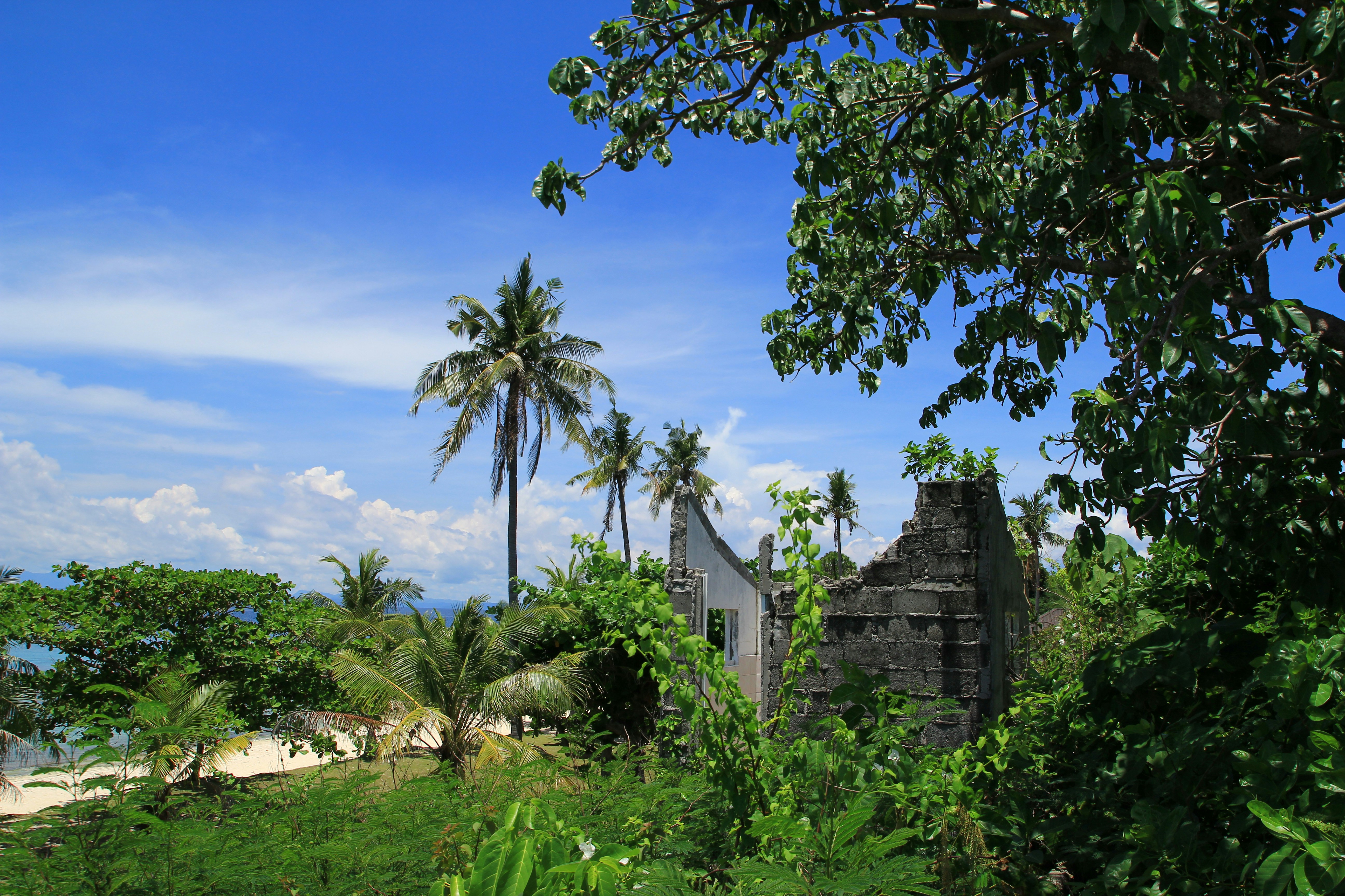 Photo by chocolate_milk_denmark