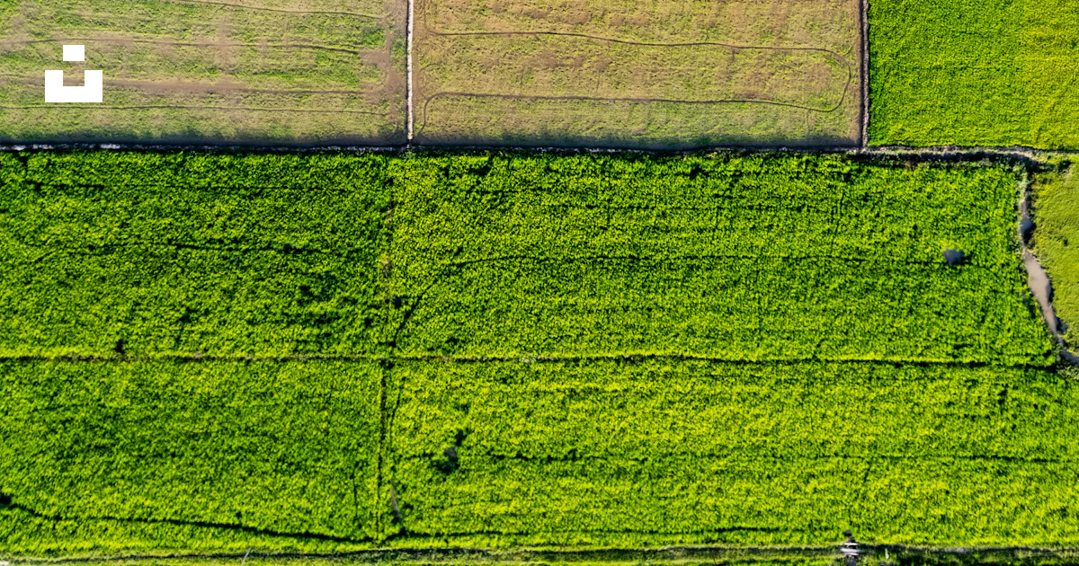 Green fields are divided into rectangular plots. photo – Free ...