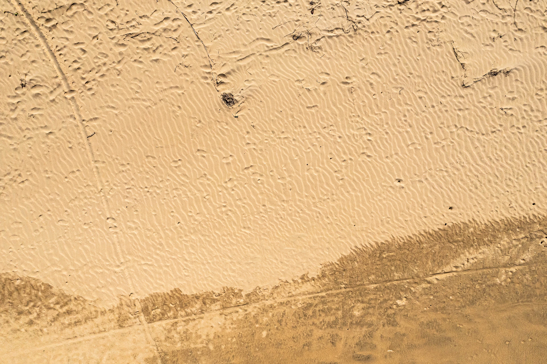 Sandy beach with some ripples and small debris.