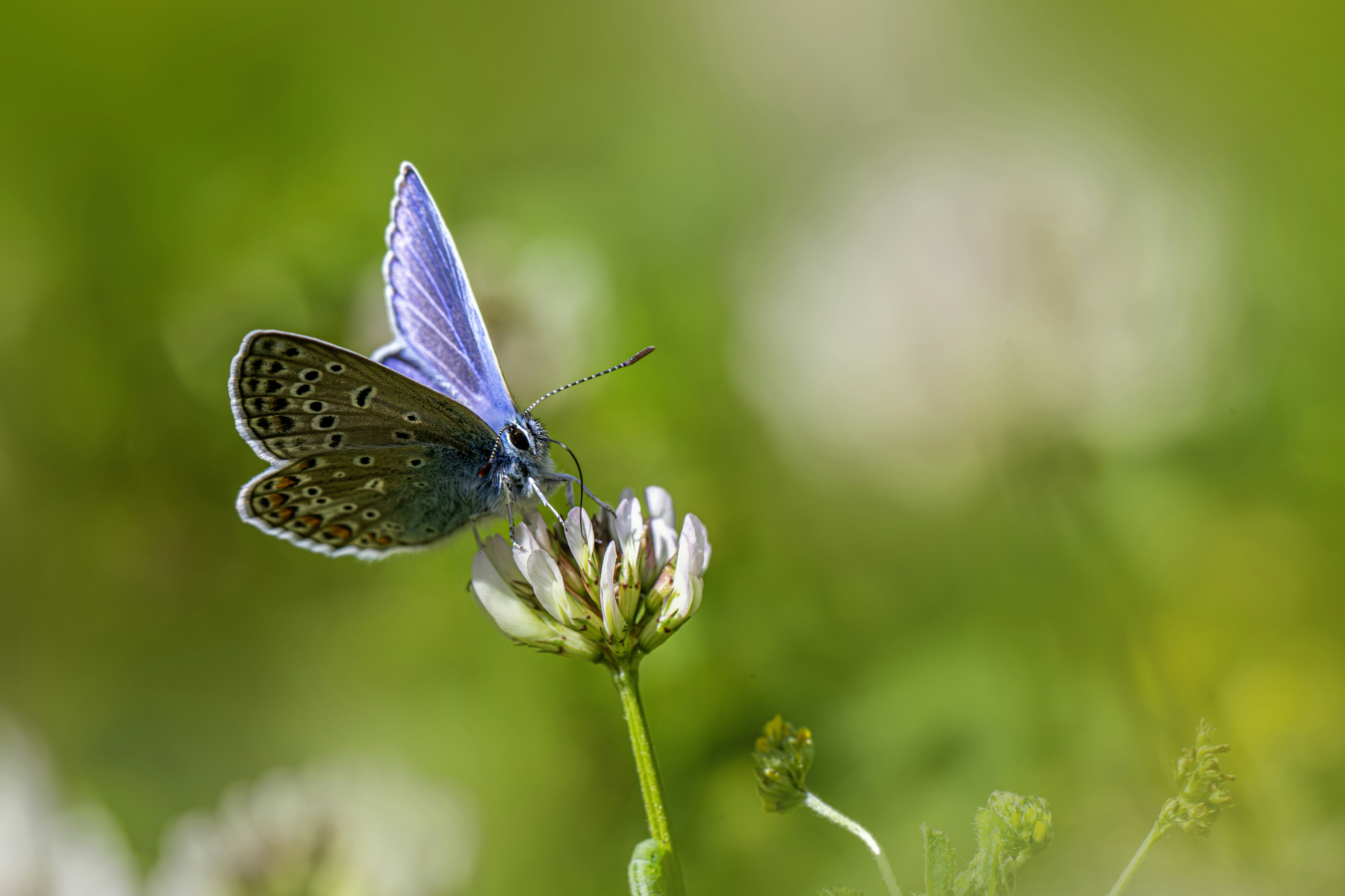 Photo by erik_karits