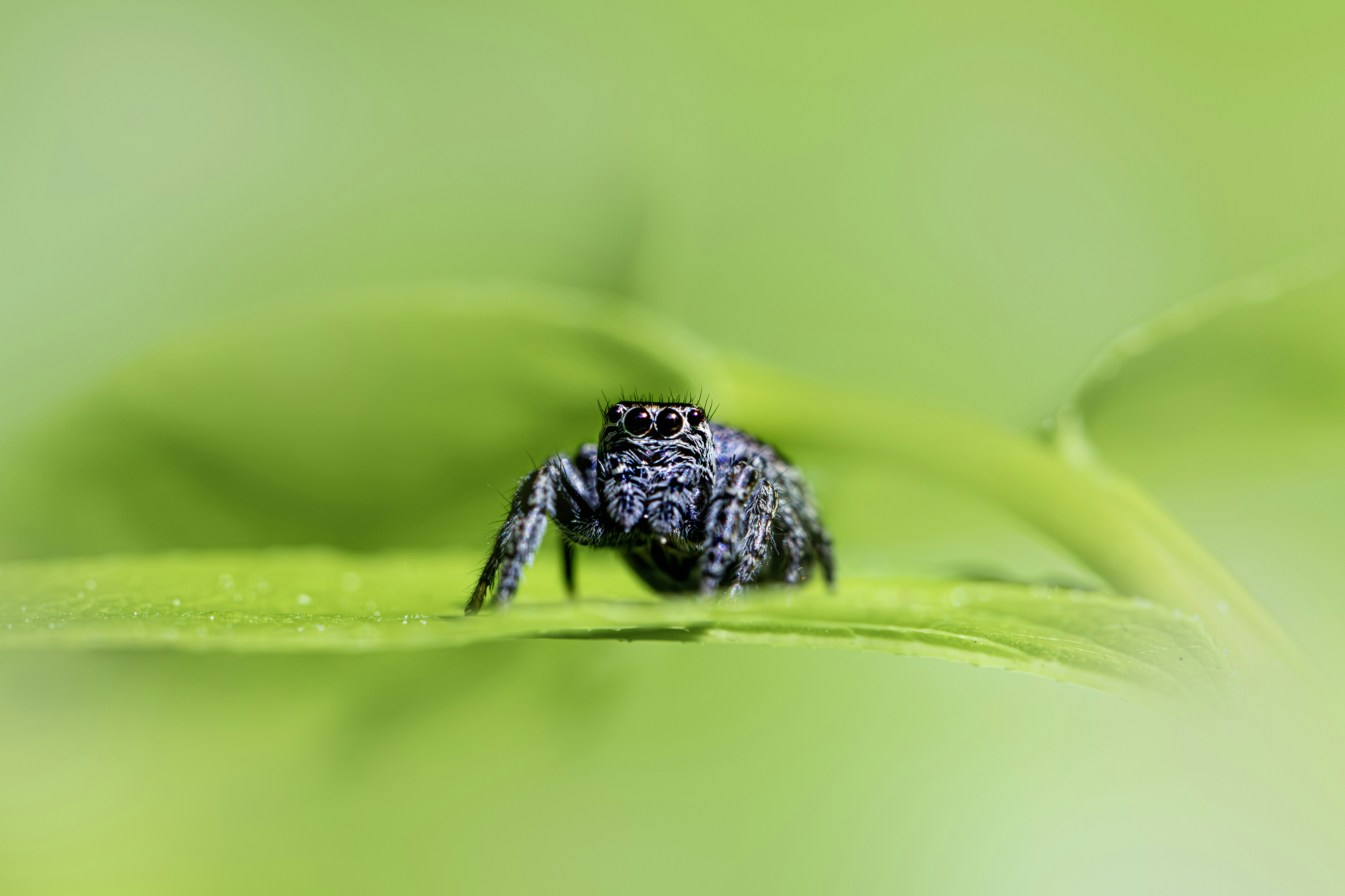 Photo by erik_karits