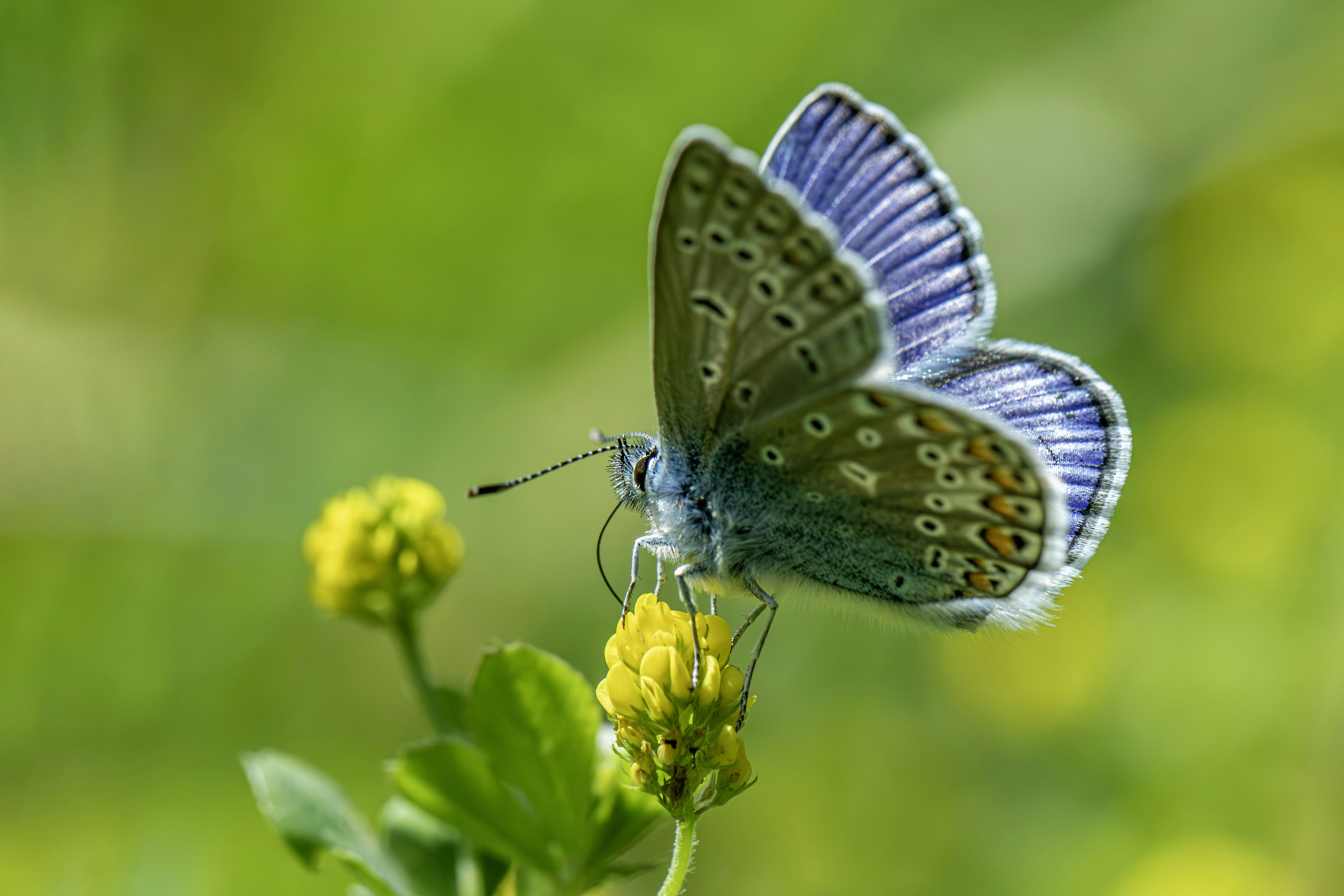 Photo by erik_karits