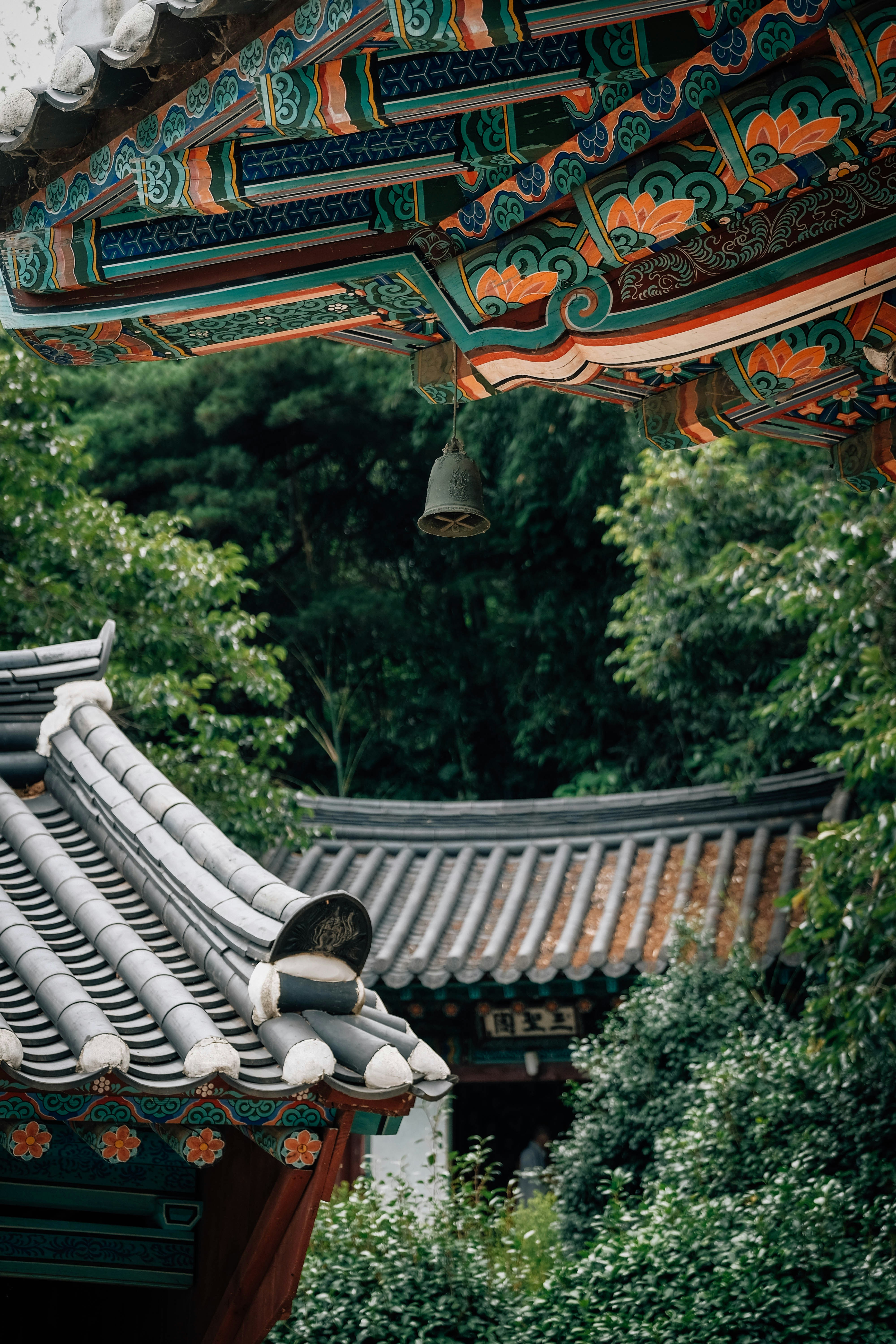 Photo by insungpandora