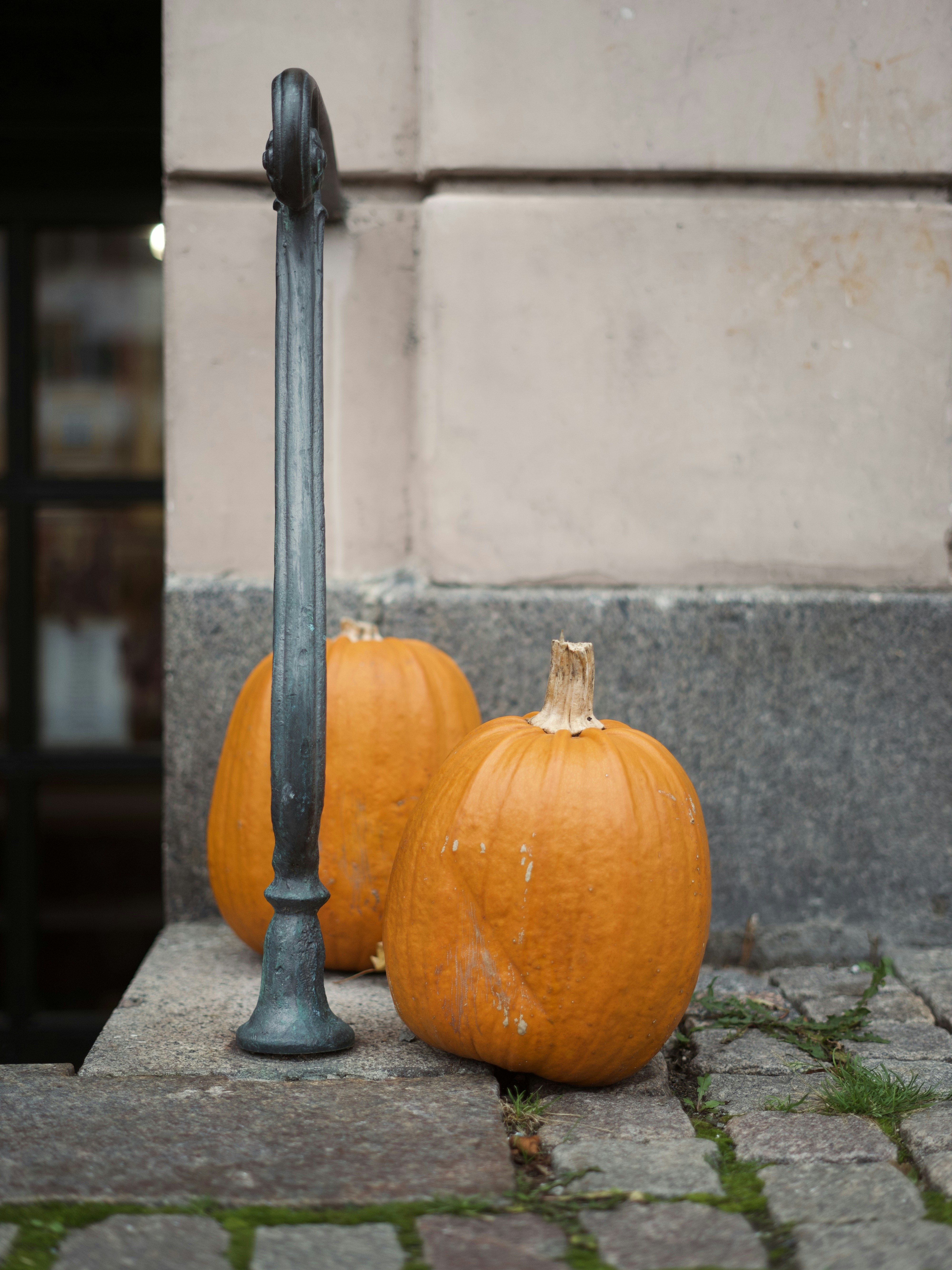Pumpkins sit near a railing on a brick step.