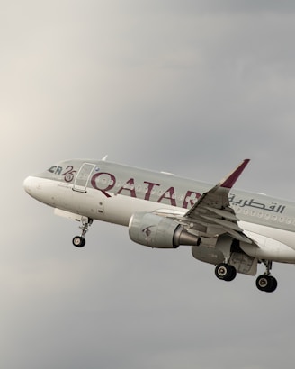 A qatar airways plane takes off into the sky.