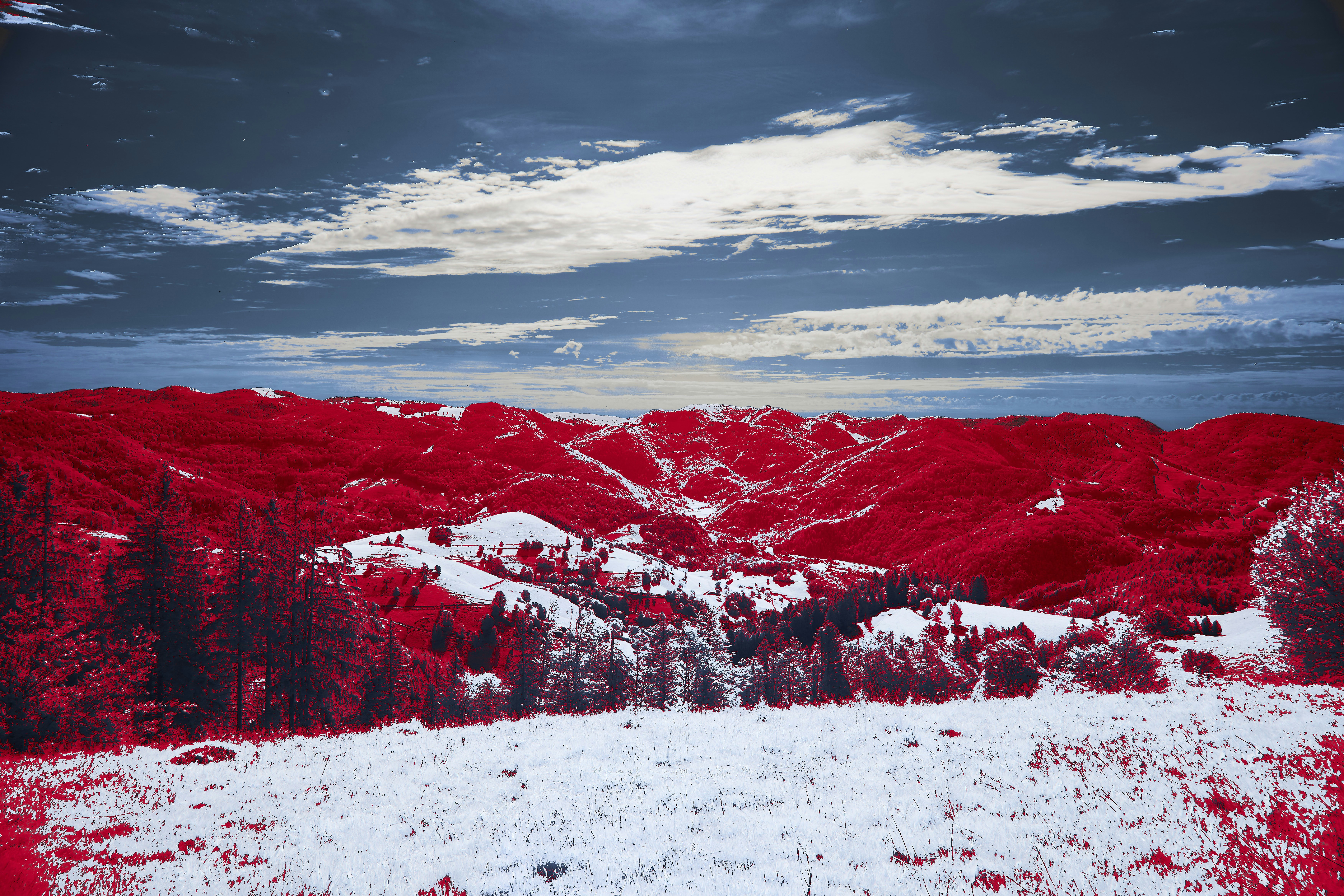 Photo by wolfgang_hasselmann