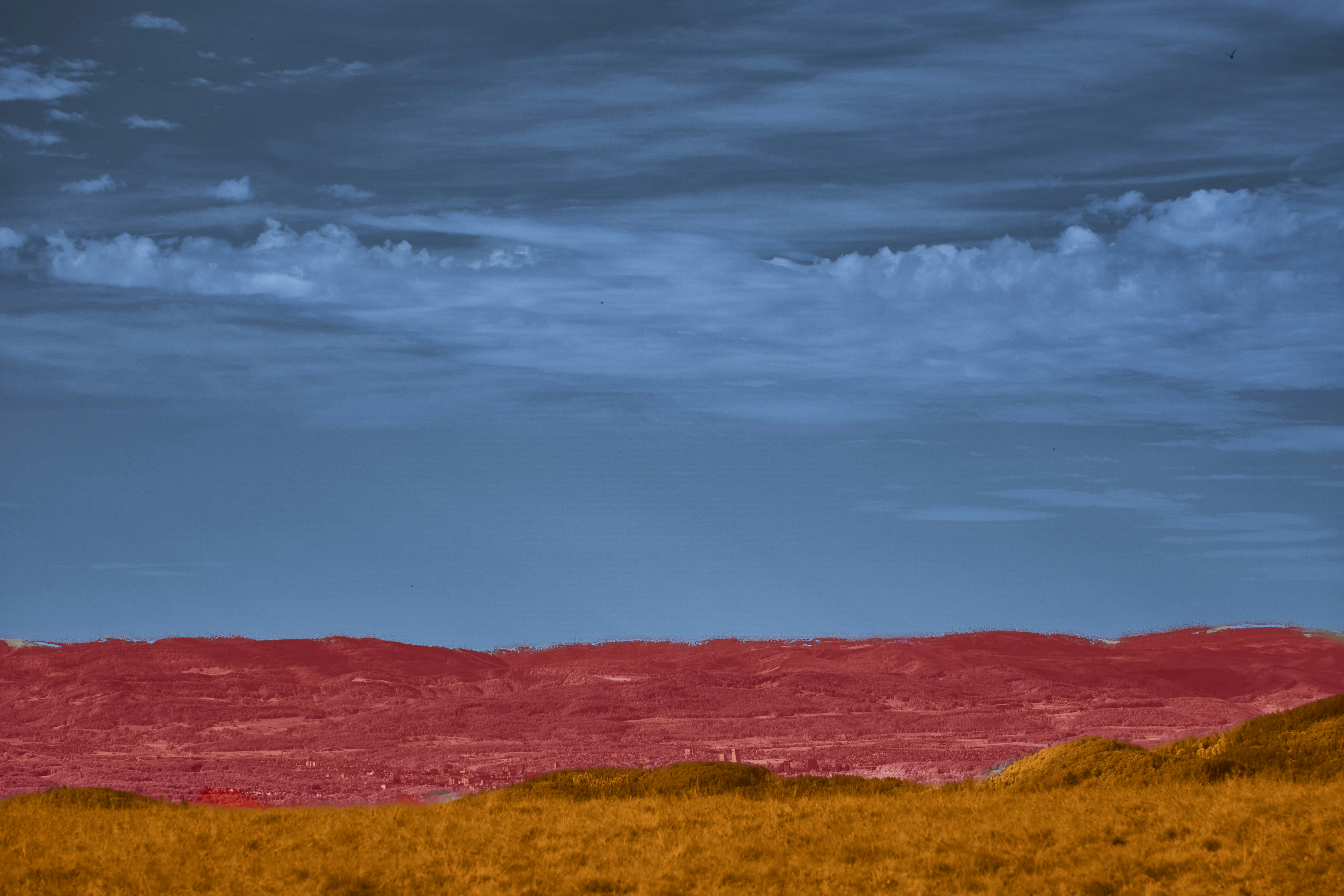 Photo by wolfgang_hasselmann