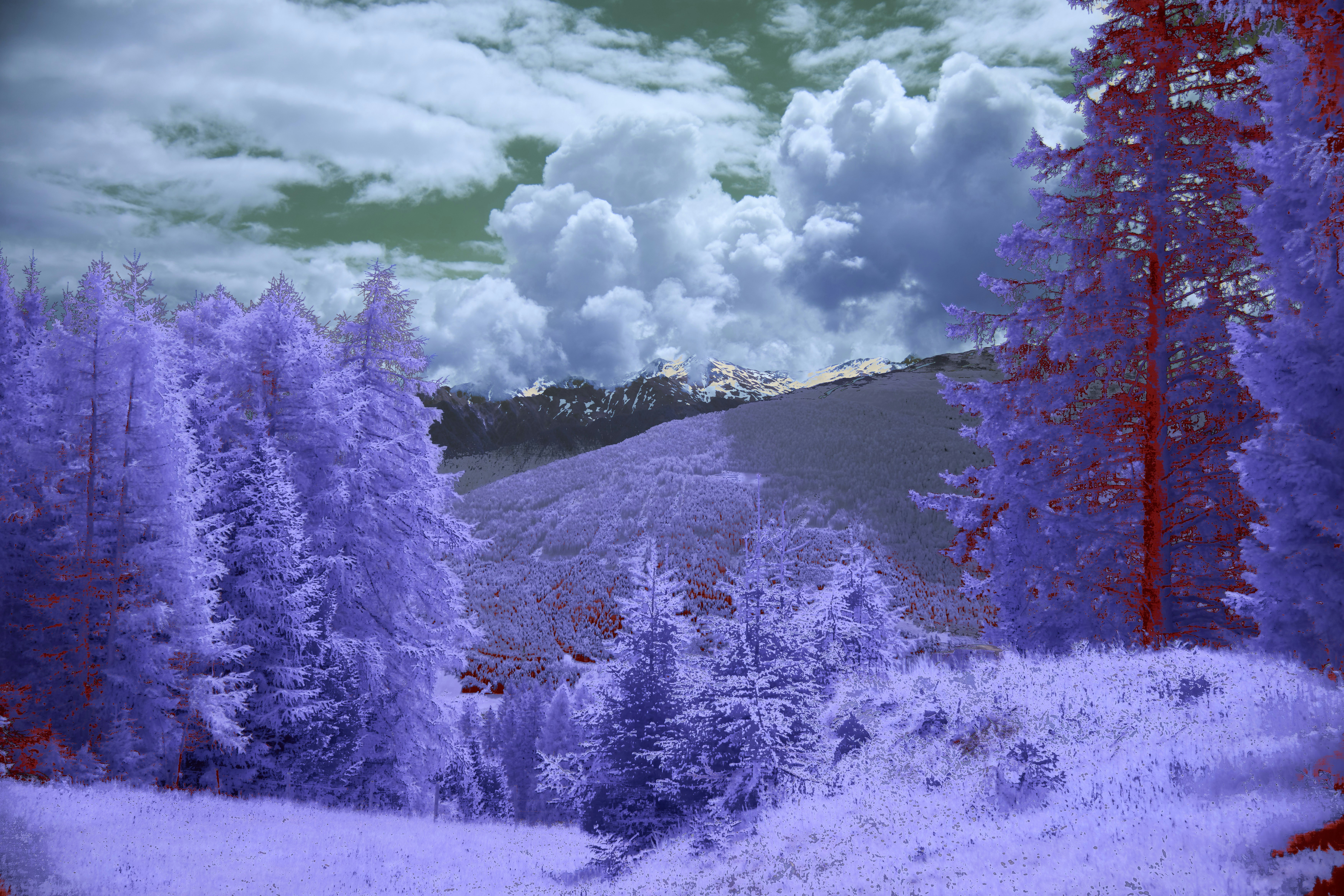 Photo by wolfgang_hasselmann