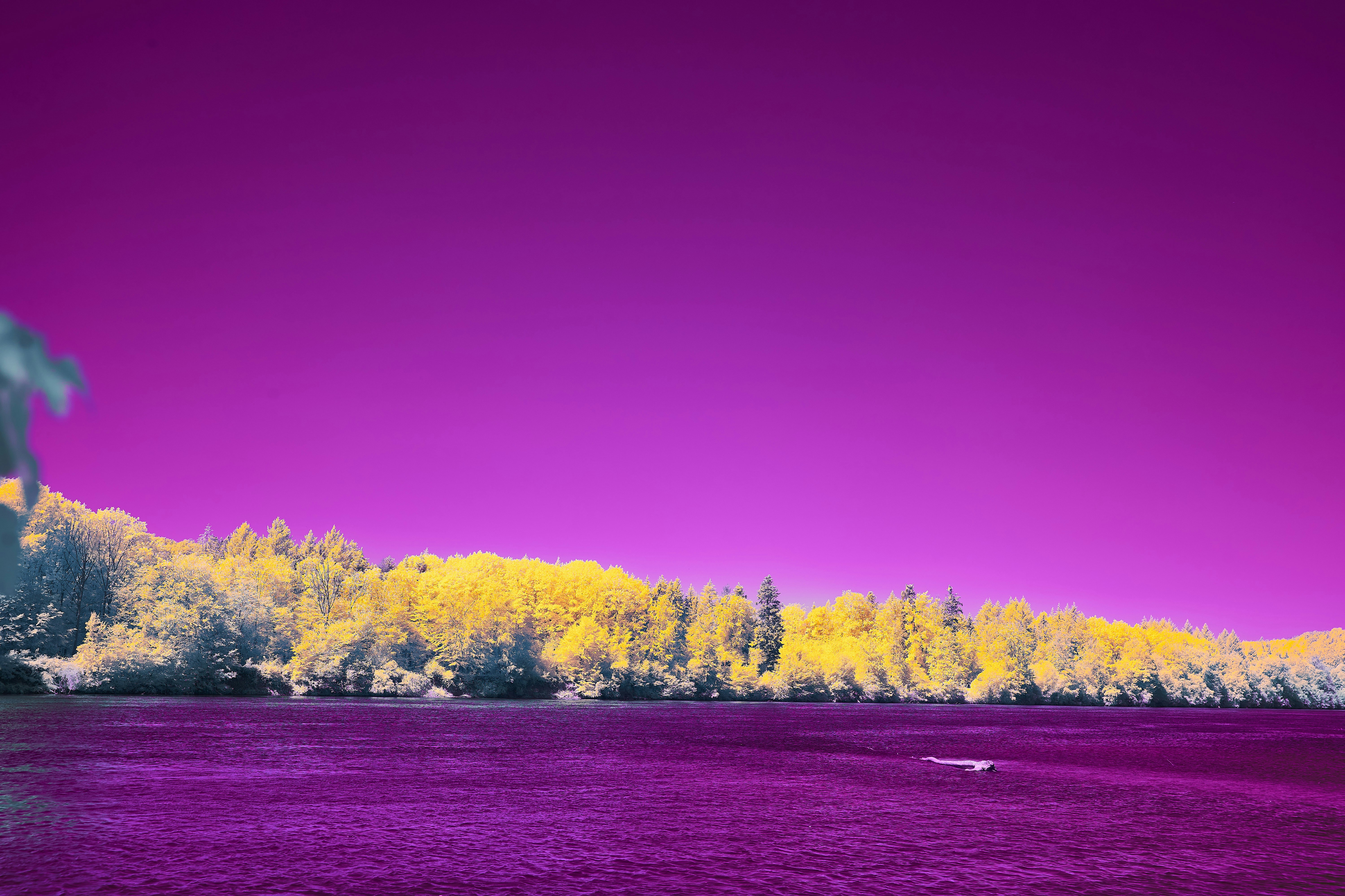 Photo by wolfgang_hasselmann