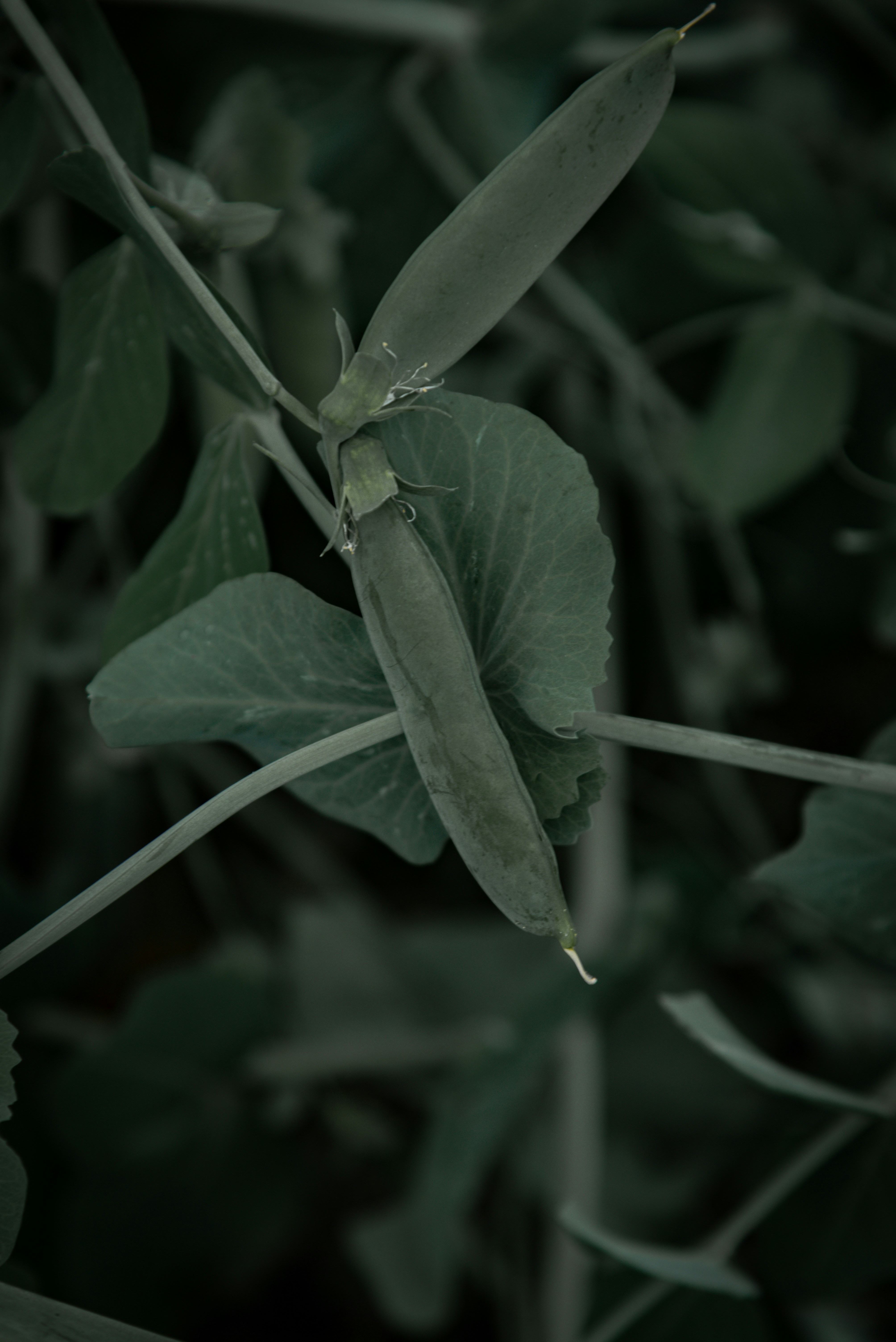 Photo by malwinanogaj