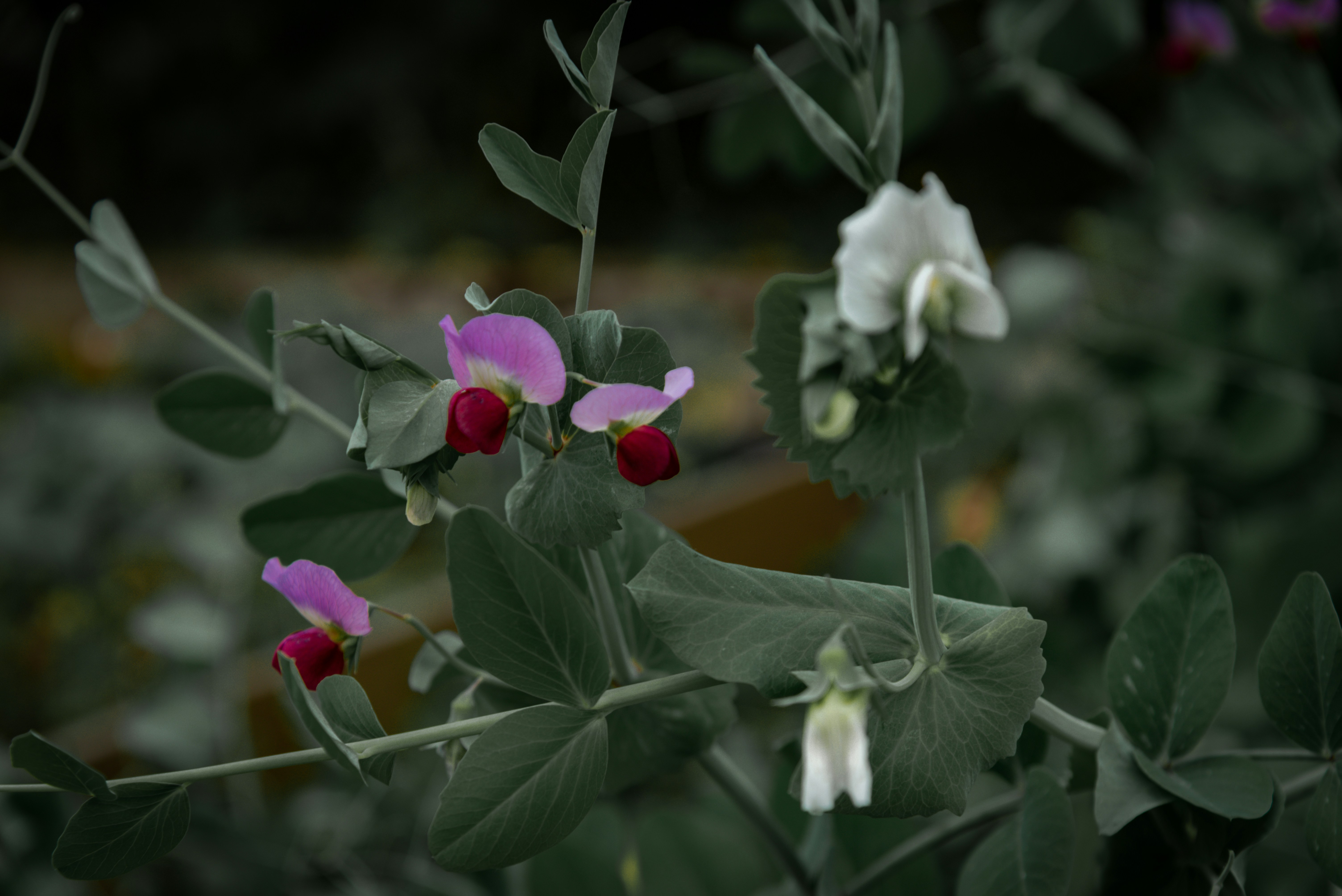 Photo by malwinanogaj