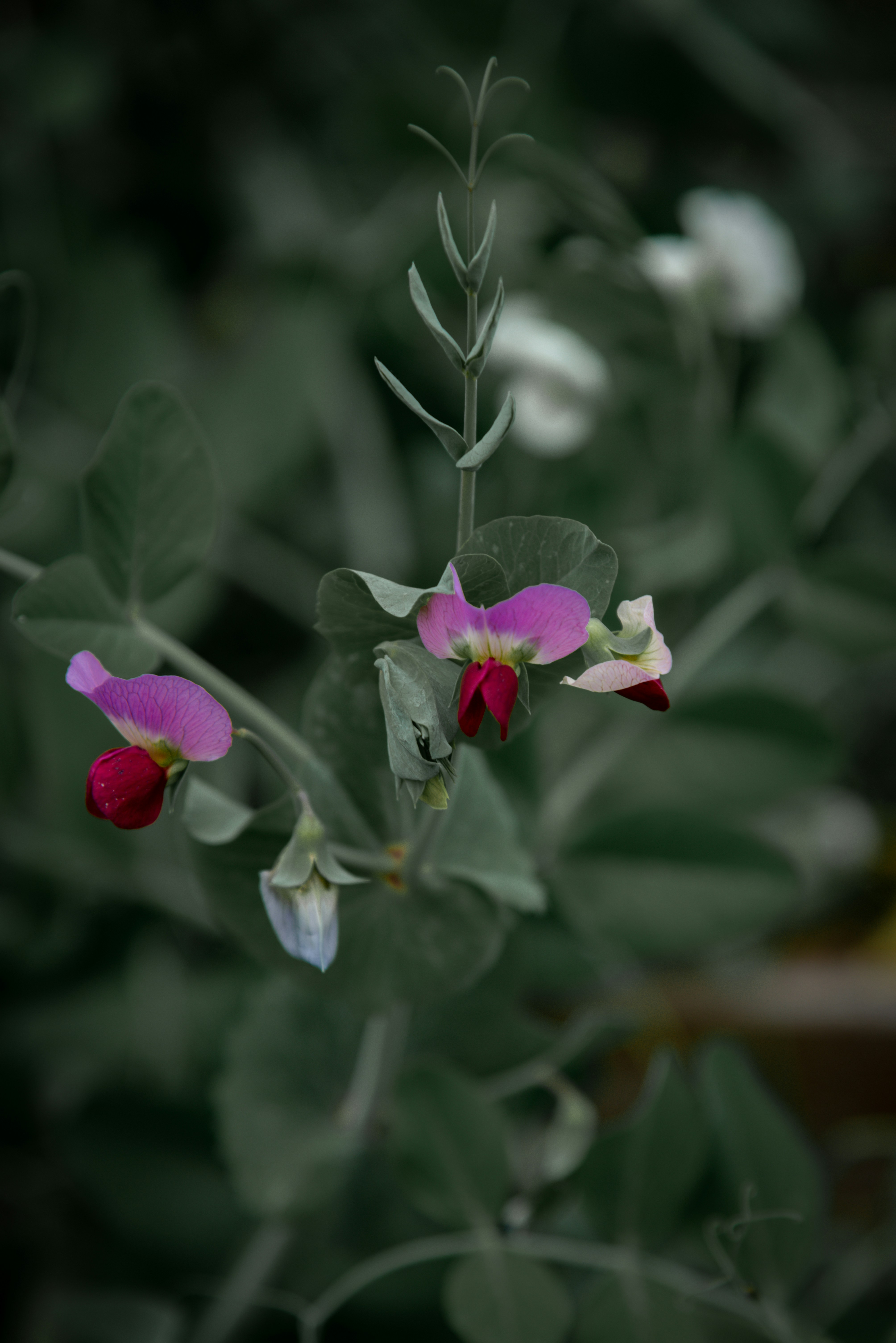 Photo by malwinanogaj