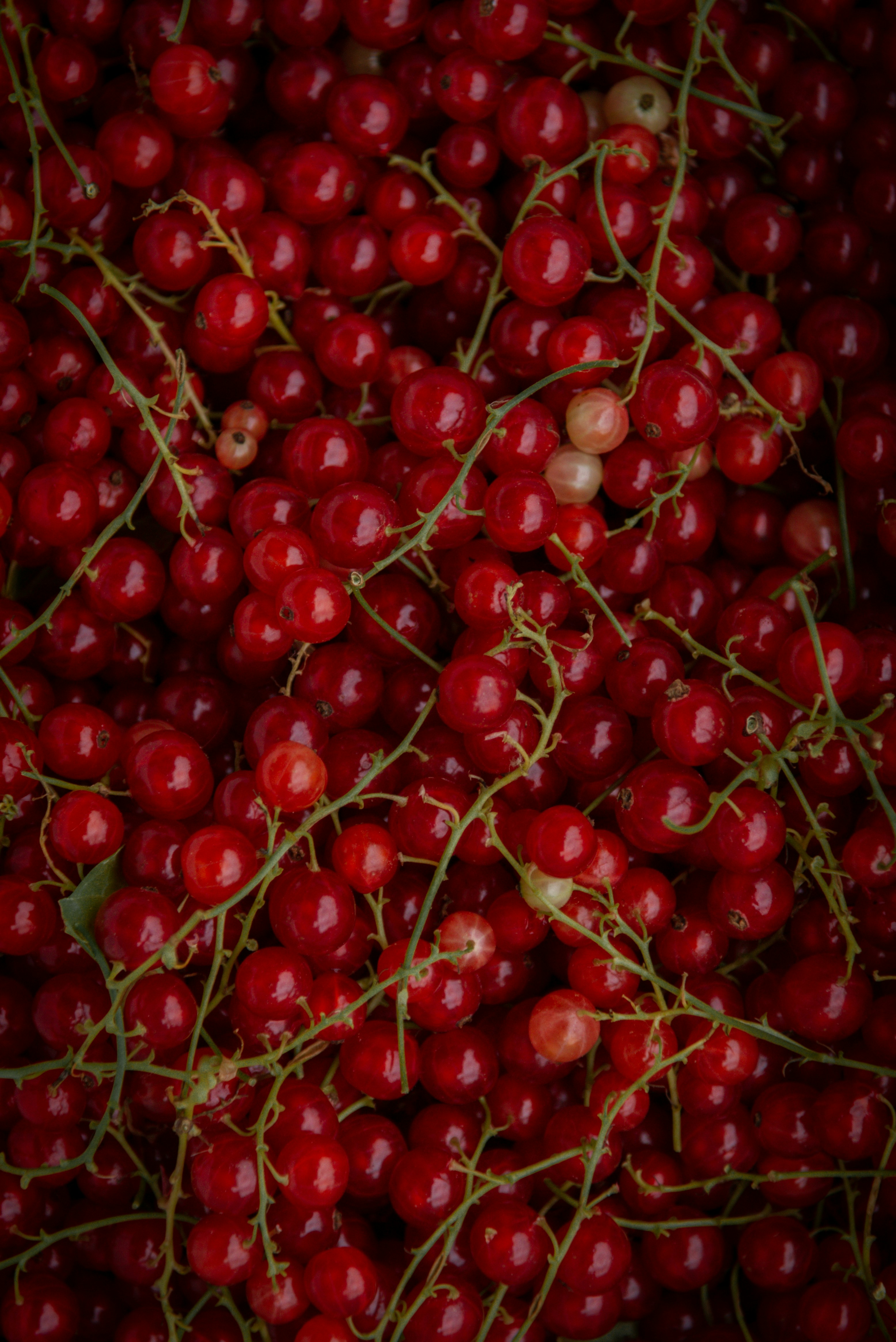 Photo by malwinanogaj