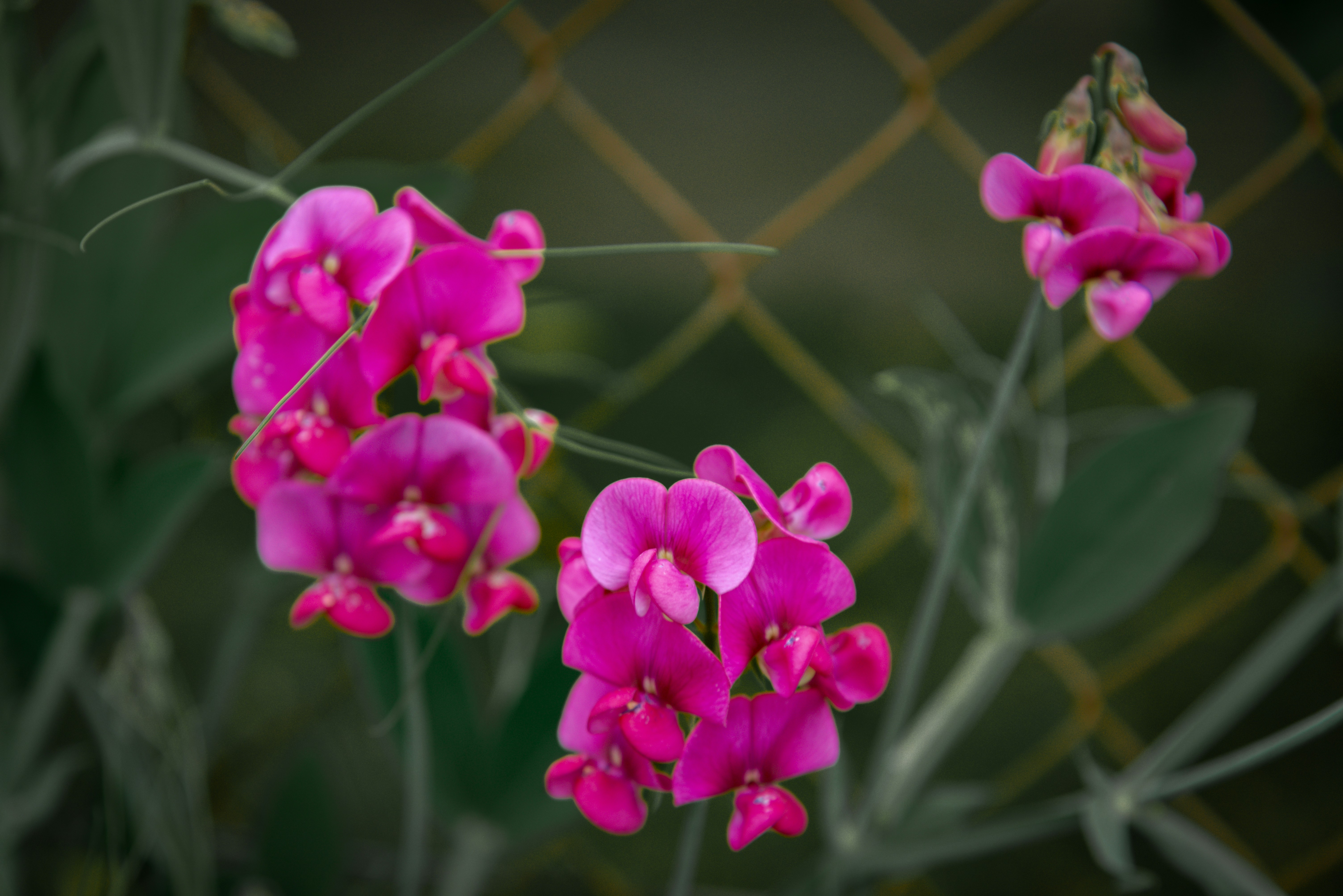 Photo by malwinanogaj