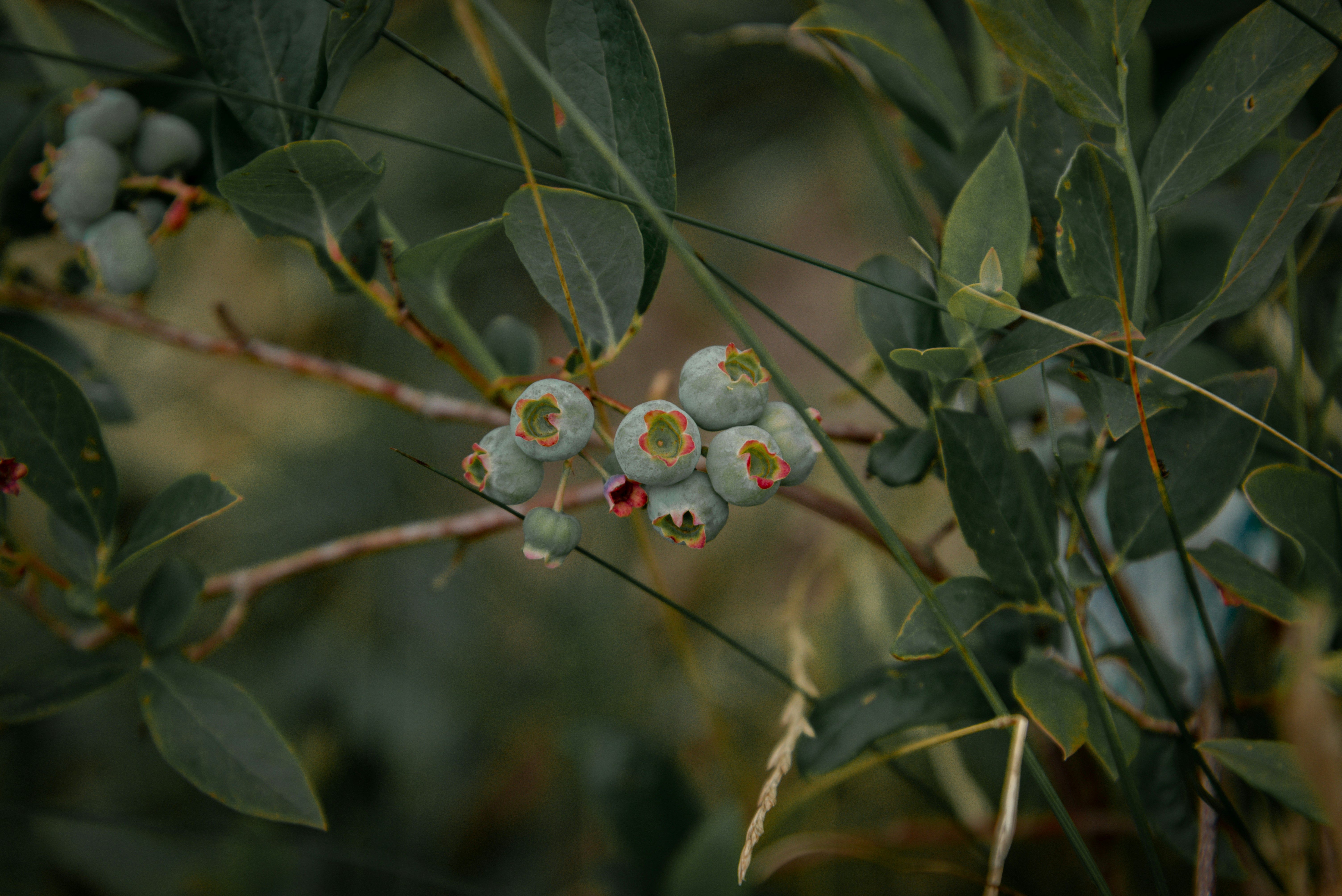 Photo by malwinanogaj