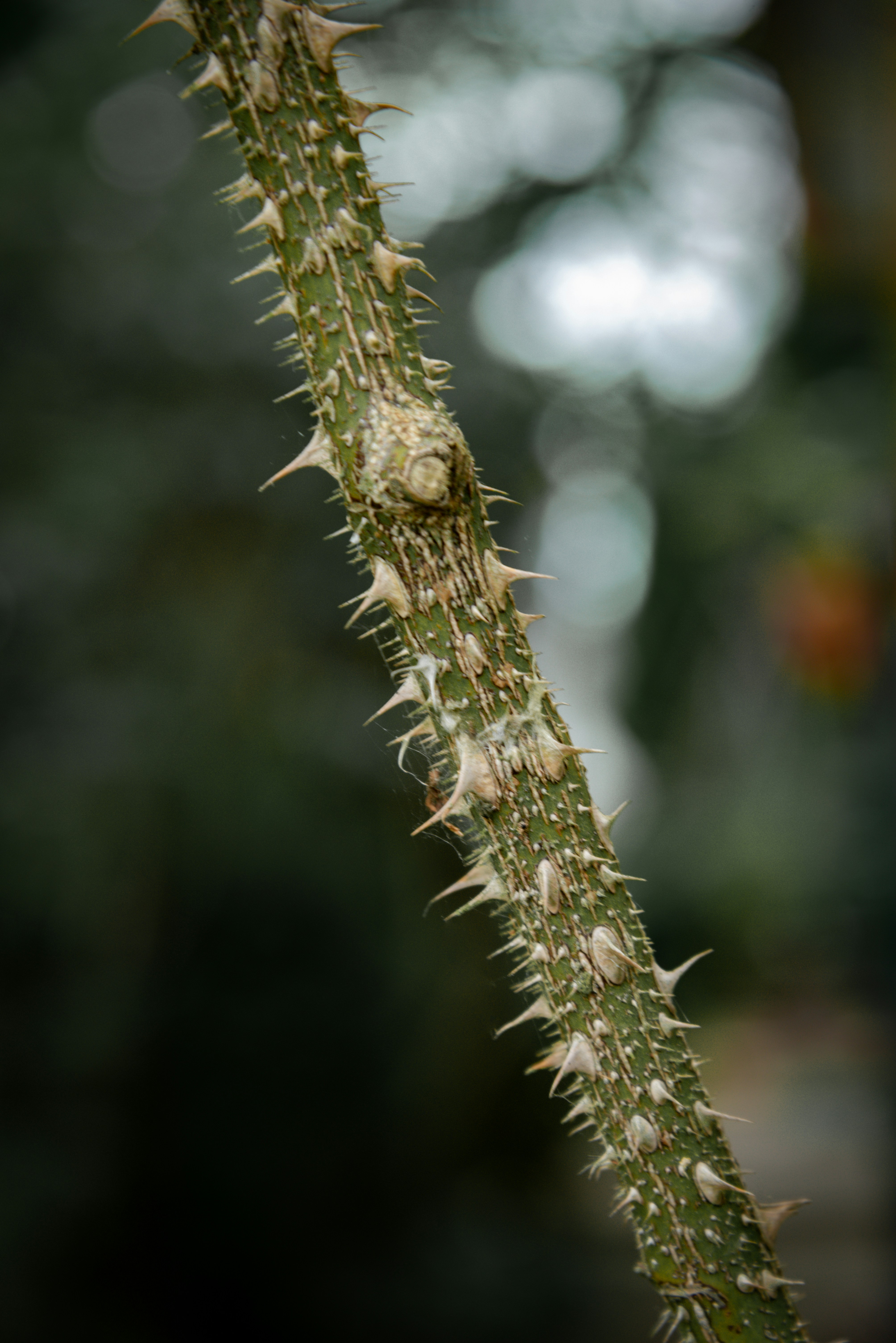 Photo by malwinanogaj