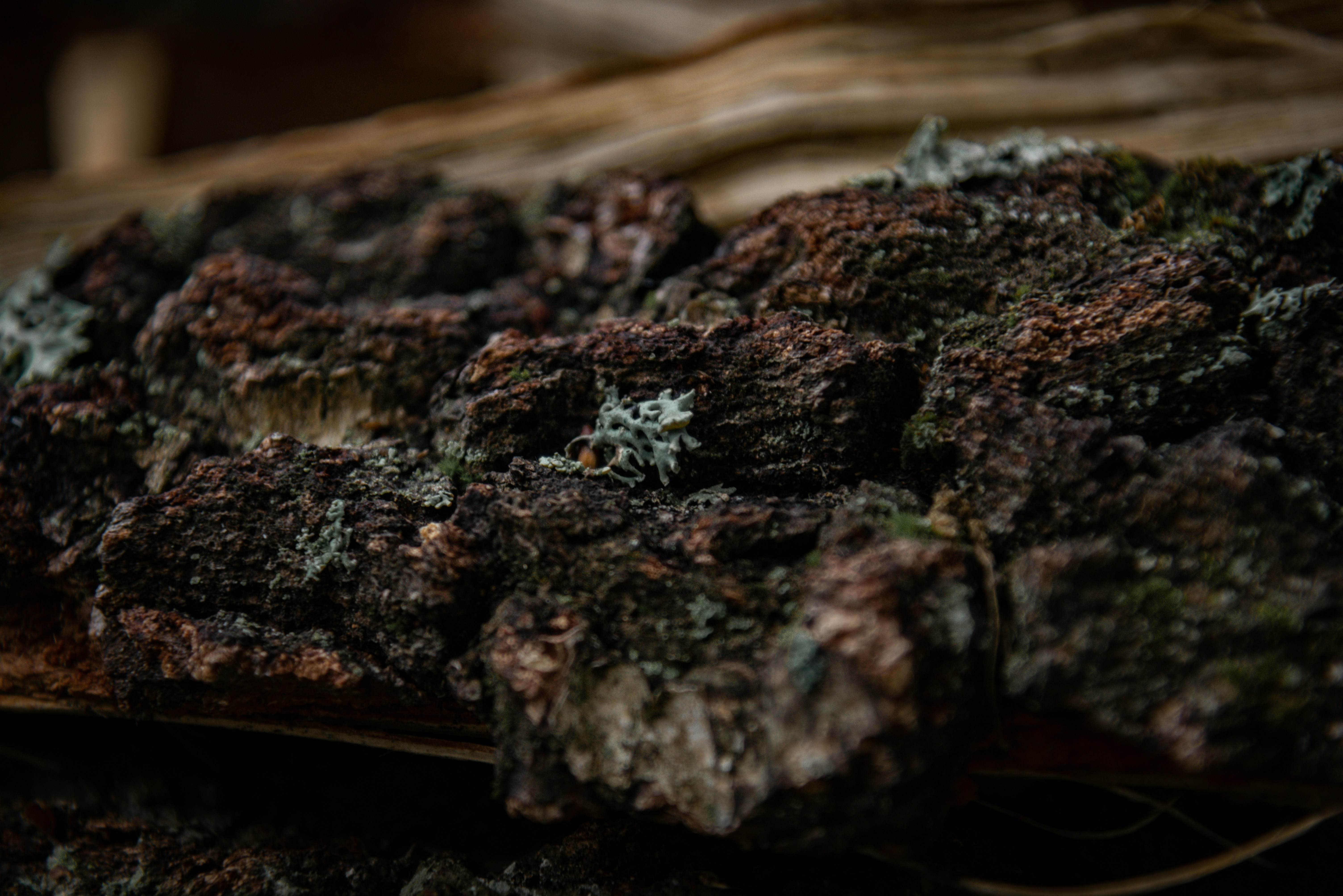 Photo by malwinanogaj