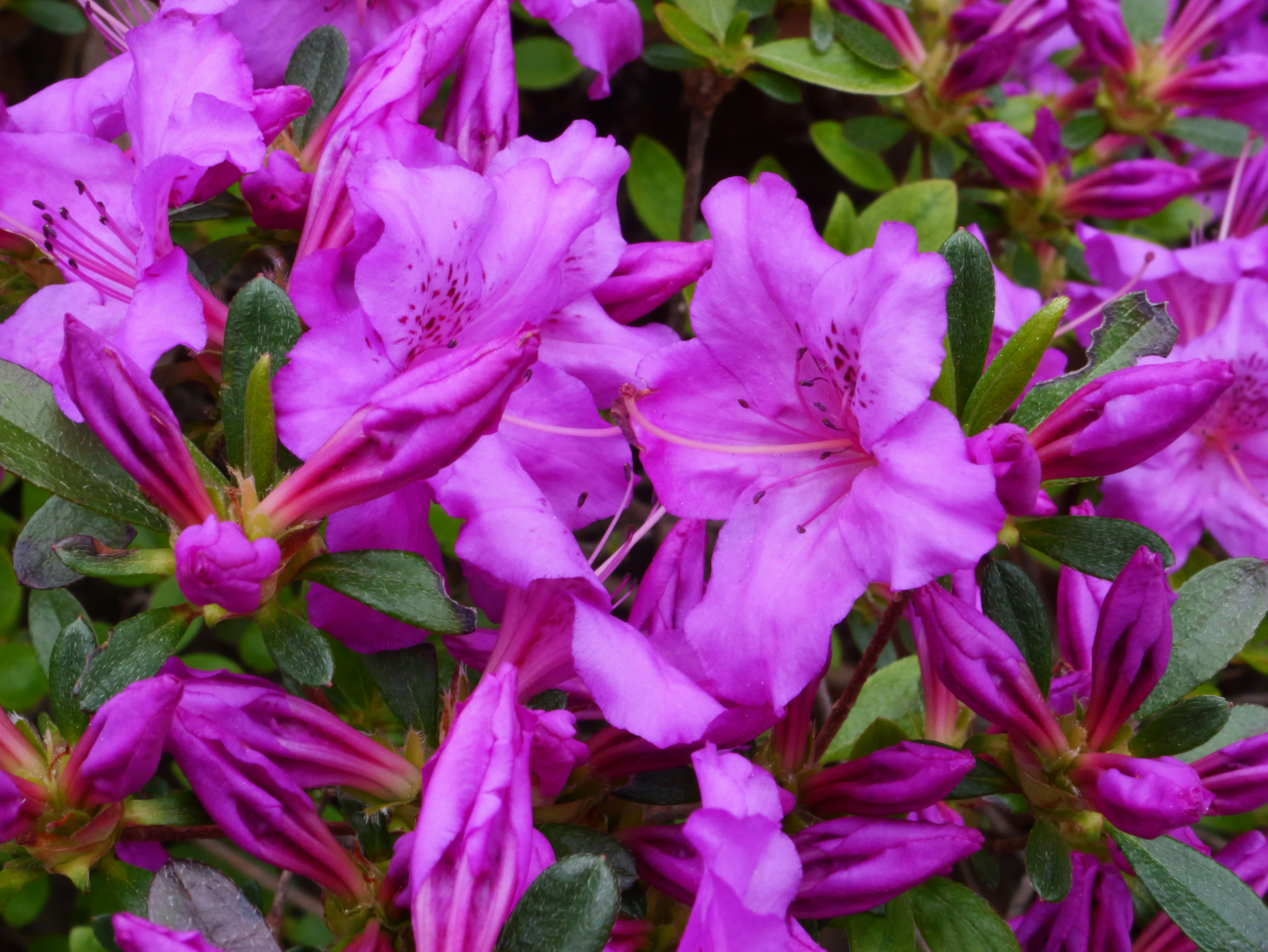 Photo by karonthompson