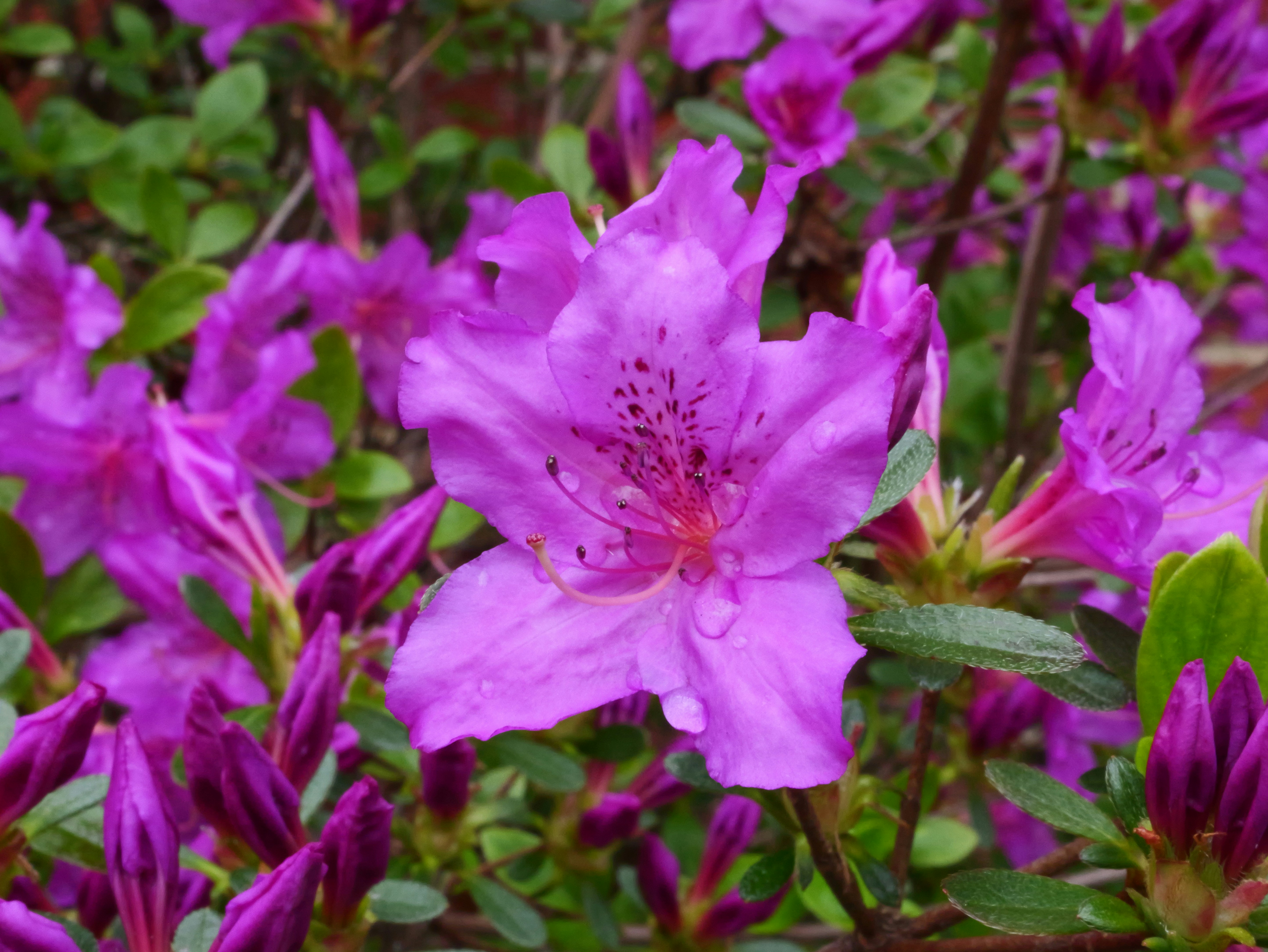 Photo by karonthompson