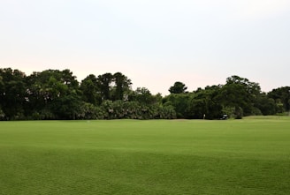 A green field with trees and a cloudy sky.