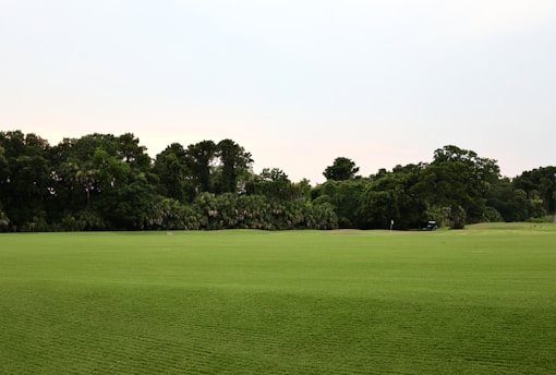 A green field with trees and a cloudy sky.