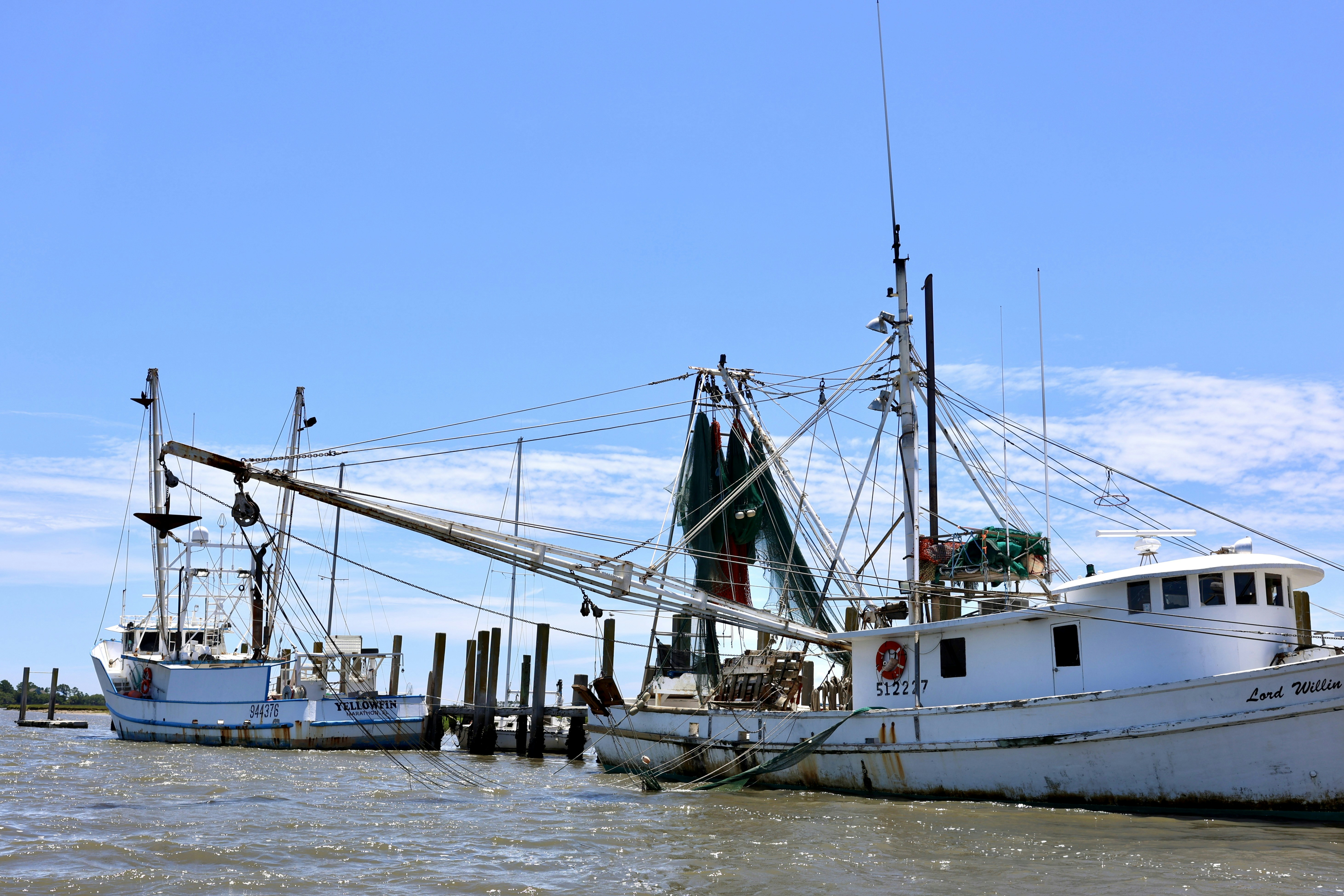Boats are docked on a sunny day.