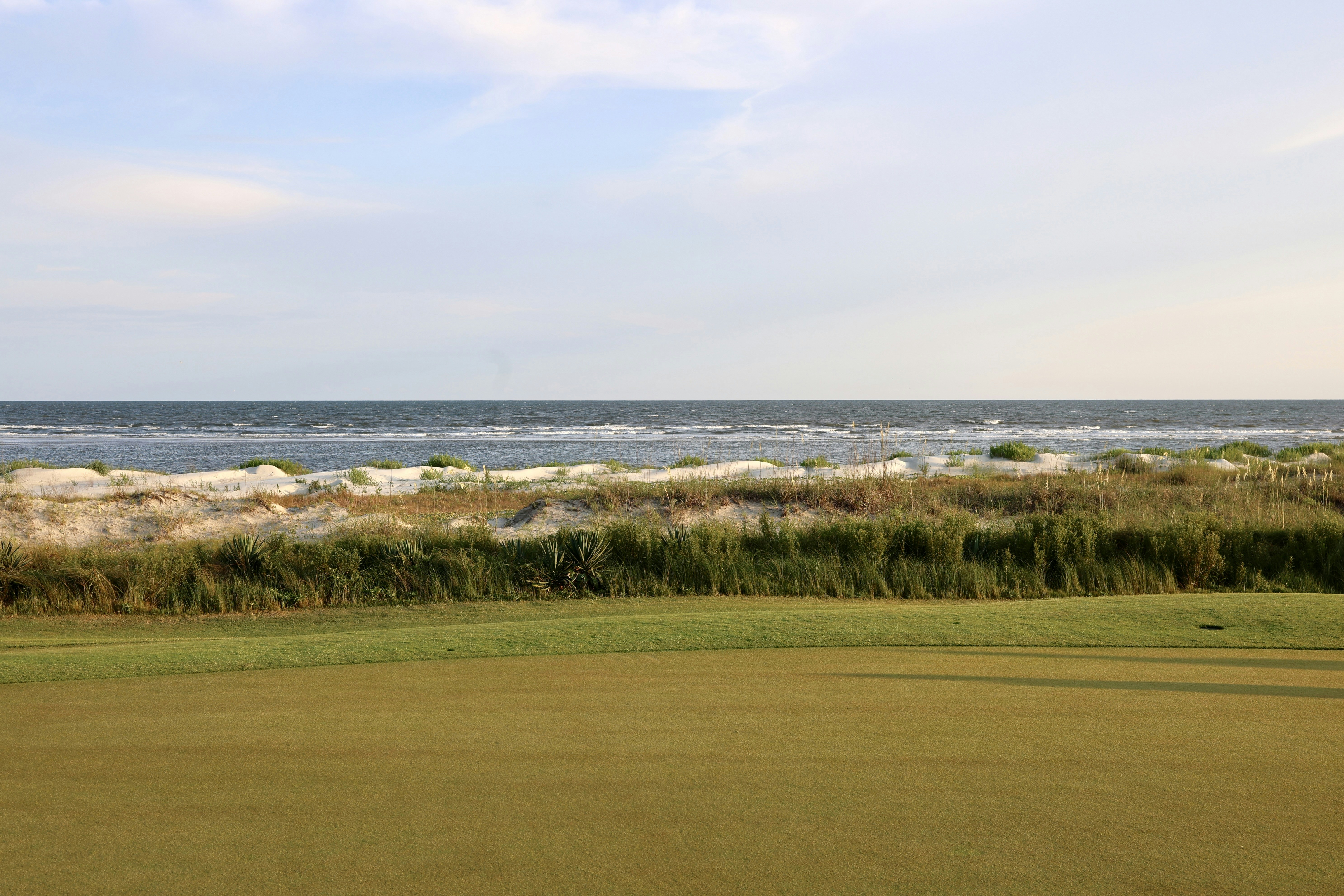 The ocean meets the dunes and green.