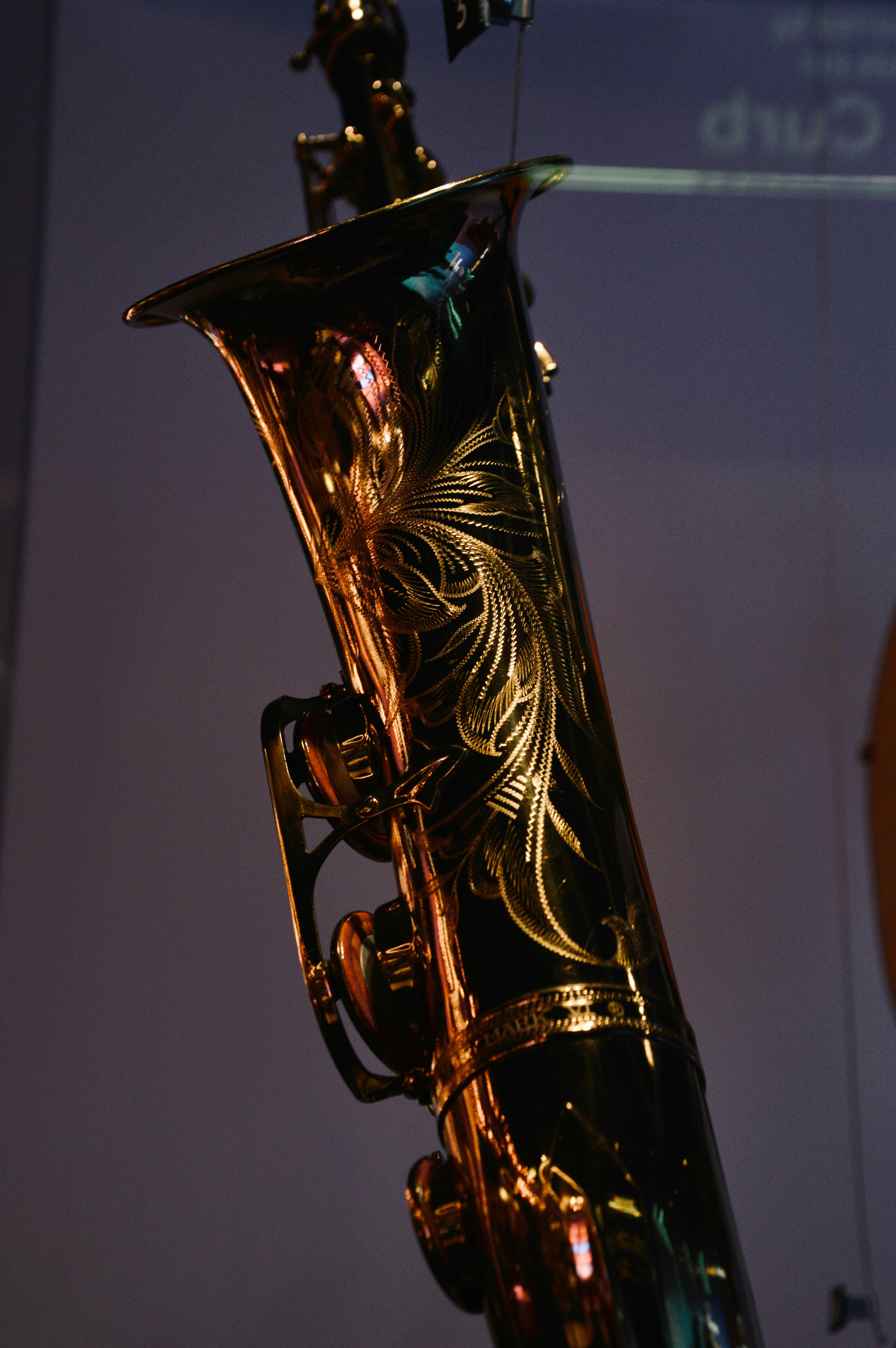 Photo by ryleighhenschen