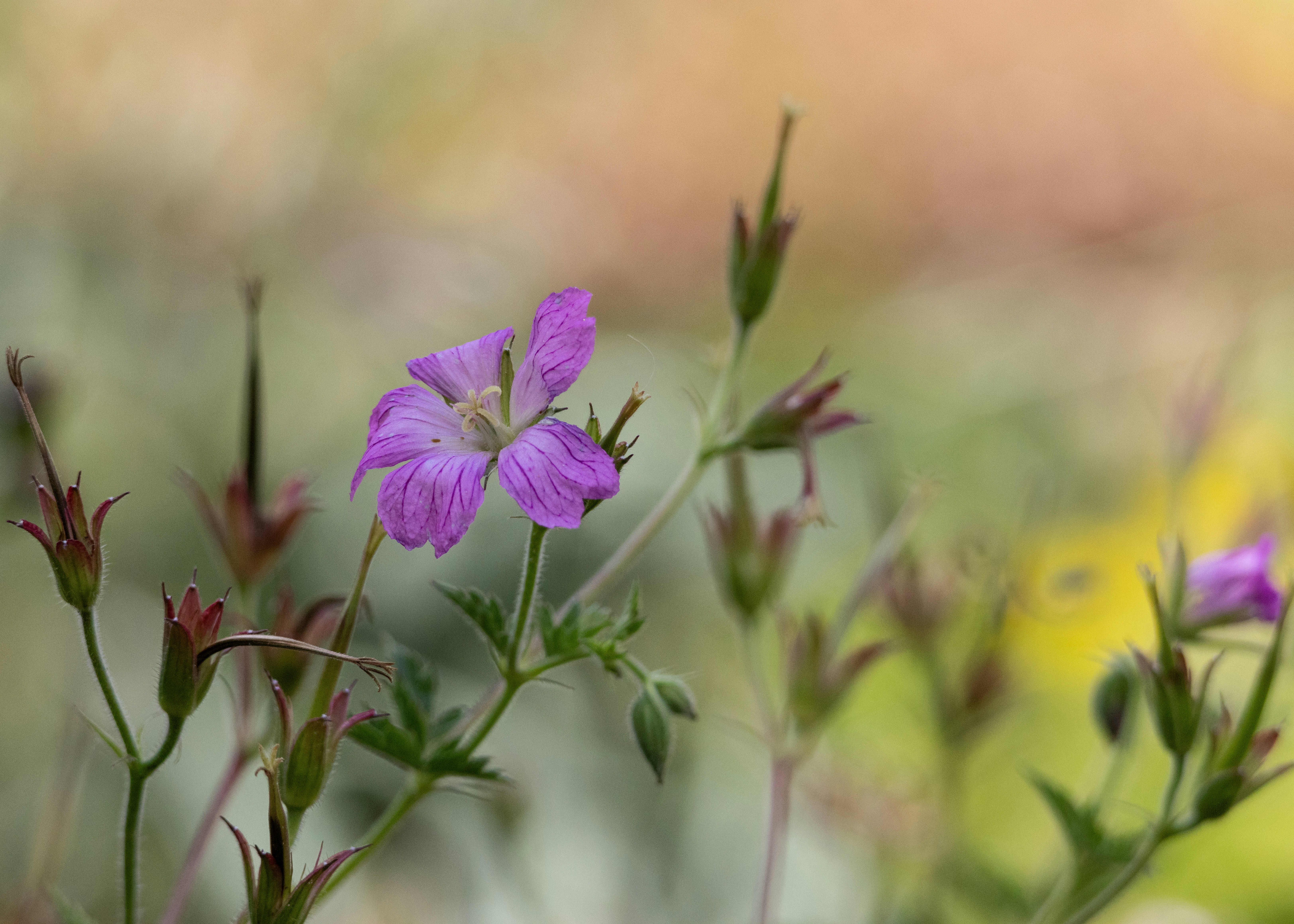 Photo by kevinhessey