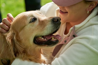 Dog Care Checklist for First-Time Pet Owners