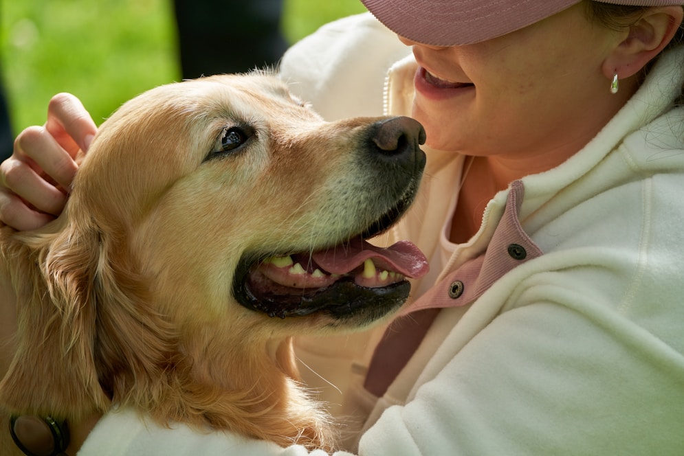 Dog Care Checklist for First-Time Pet Owners