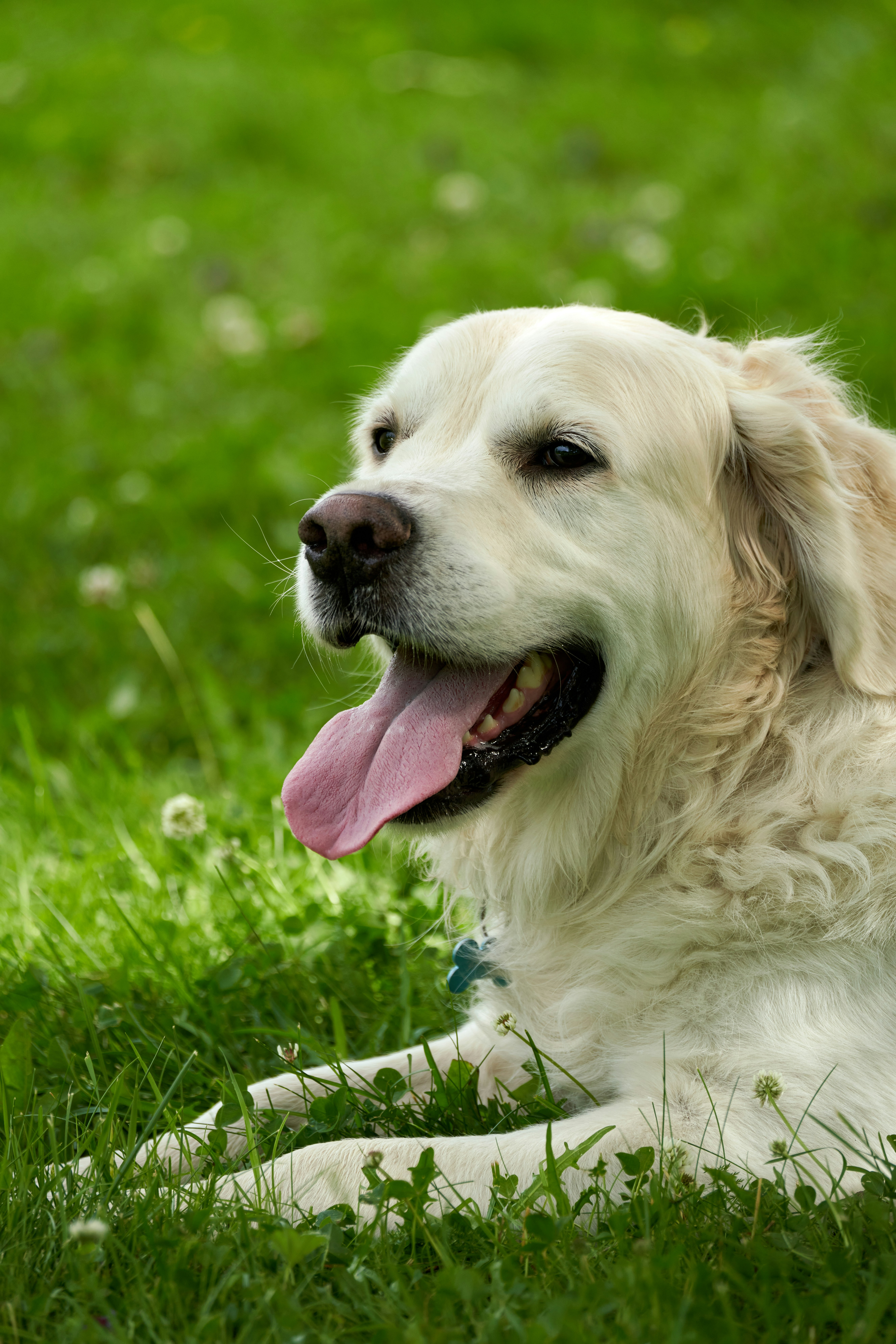 Photo by davotibarna