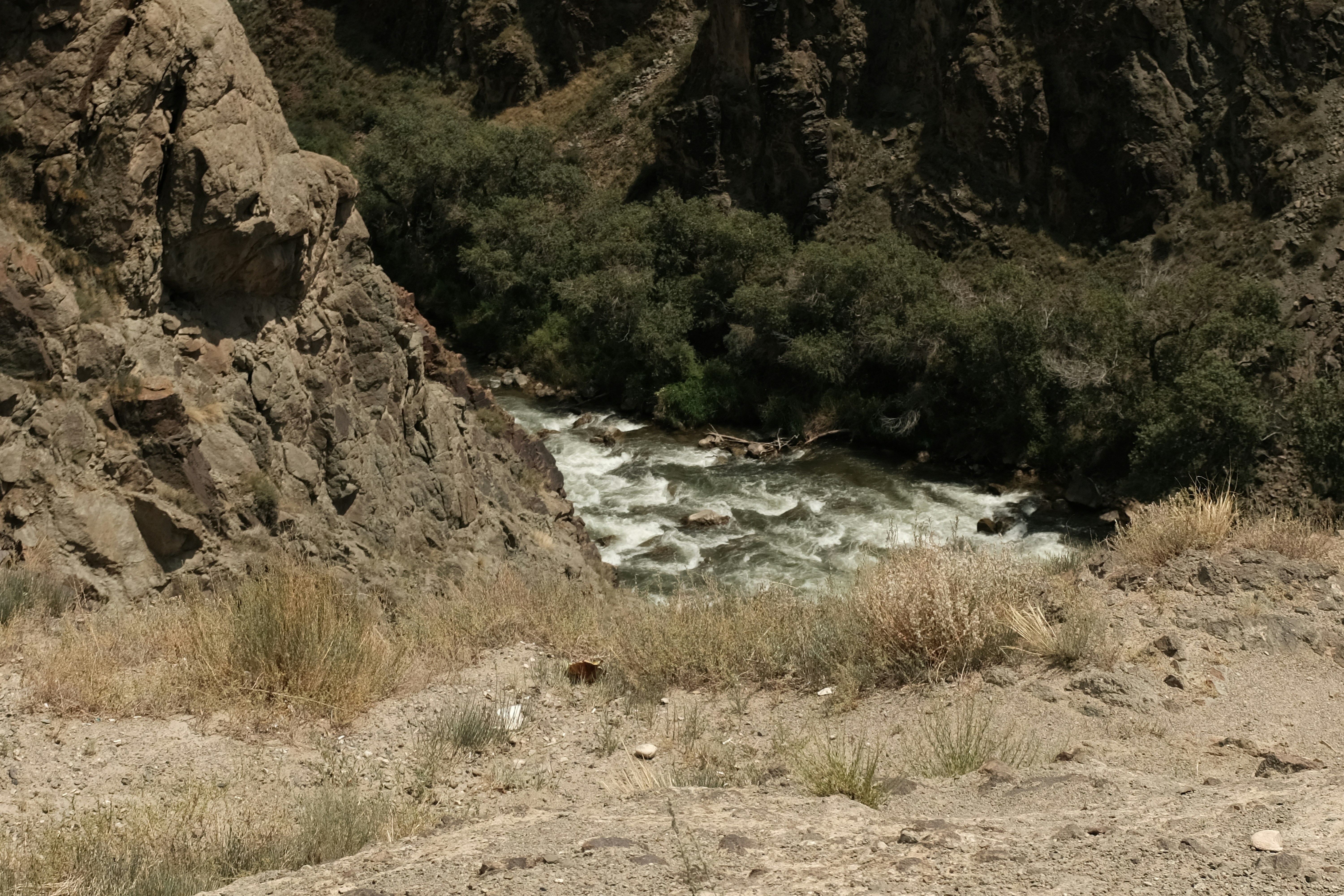 Photo by danishprakash